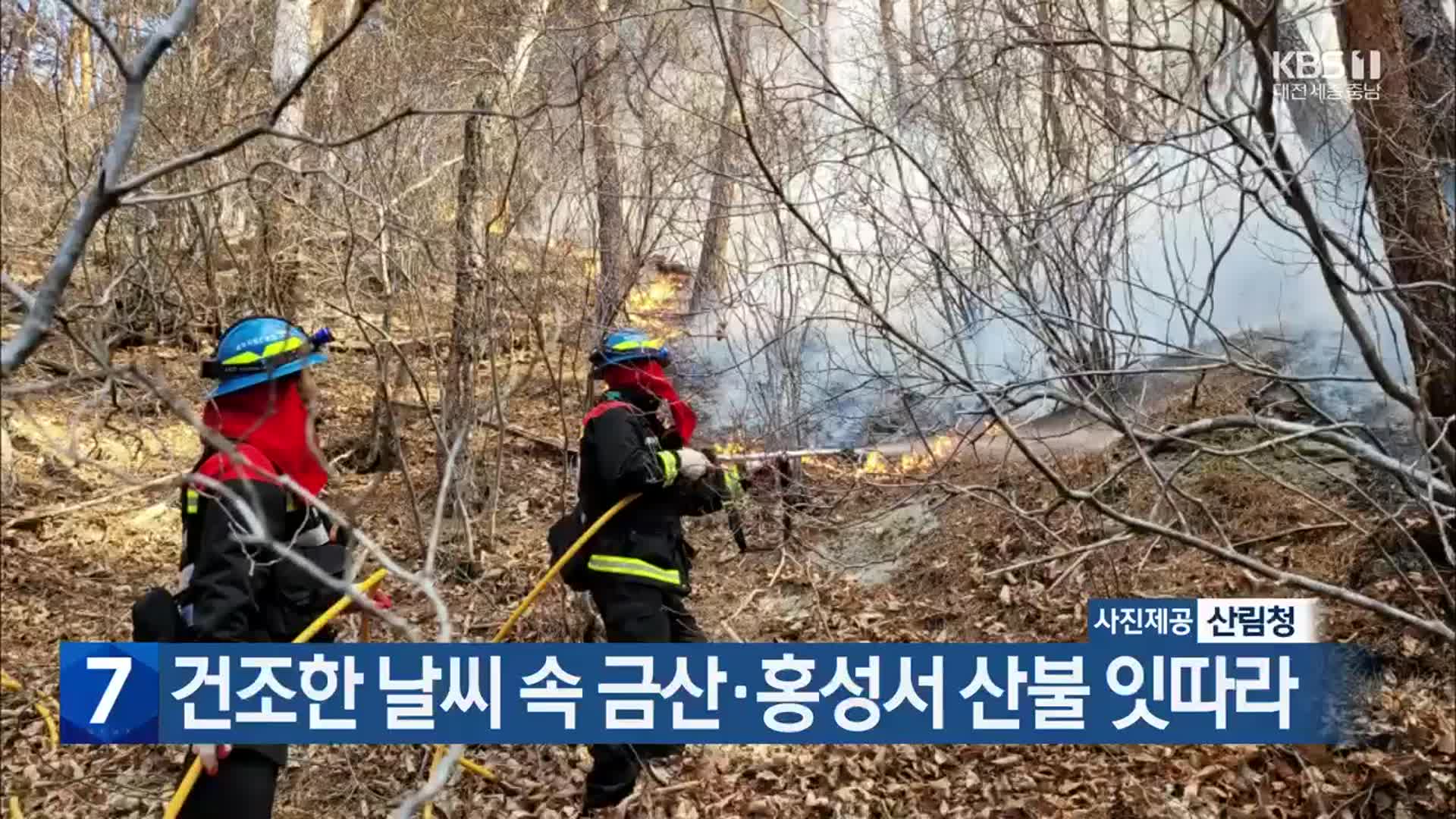 건조한 날씨 속 금산·홍성서 산불 잇따라