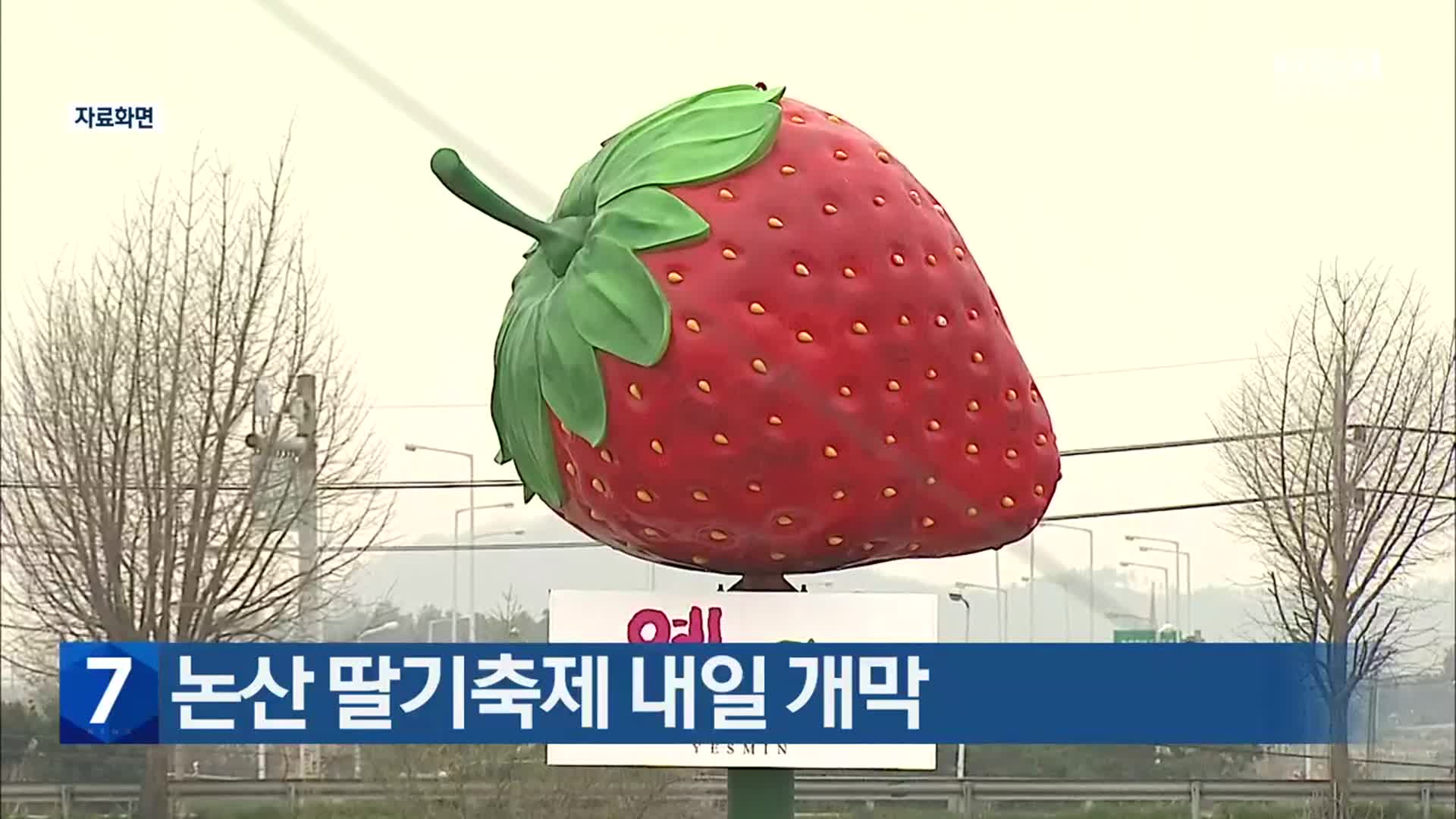 논산 딸기축제 내일 개막