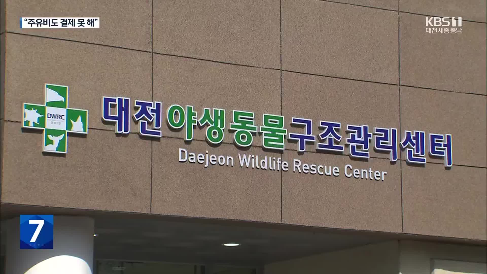 두 달째 임금체불…대전 야생동물구조센터 내홍