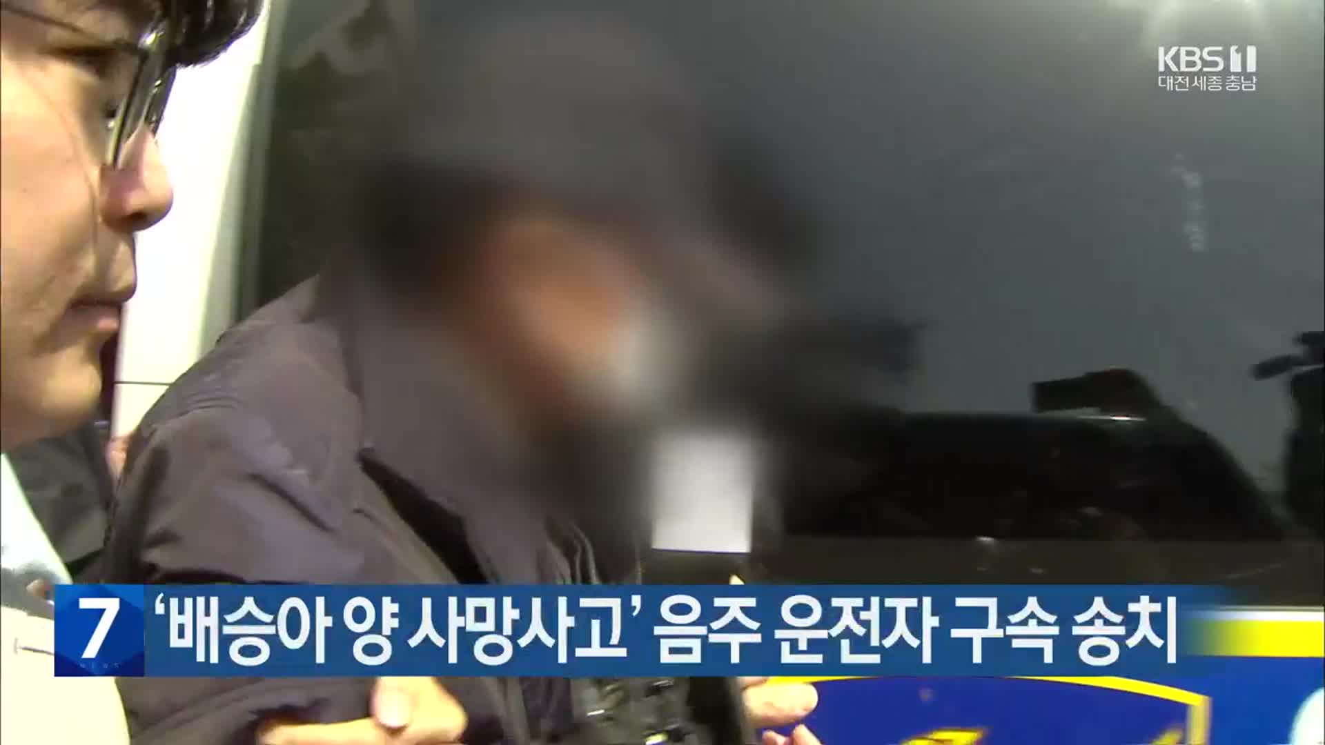 ‘배승아 양 사망사고’ 음주 운전자 구속 송치