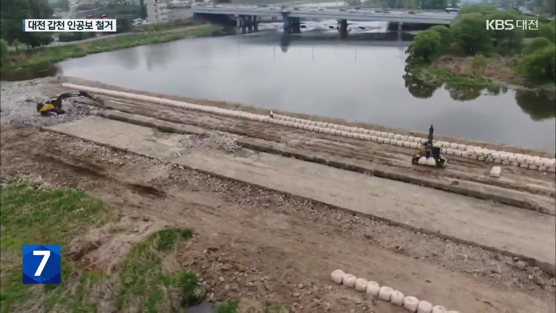 대전 갑천 인공보 첫 철거…“남은 보, 단계적 철거해야”