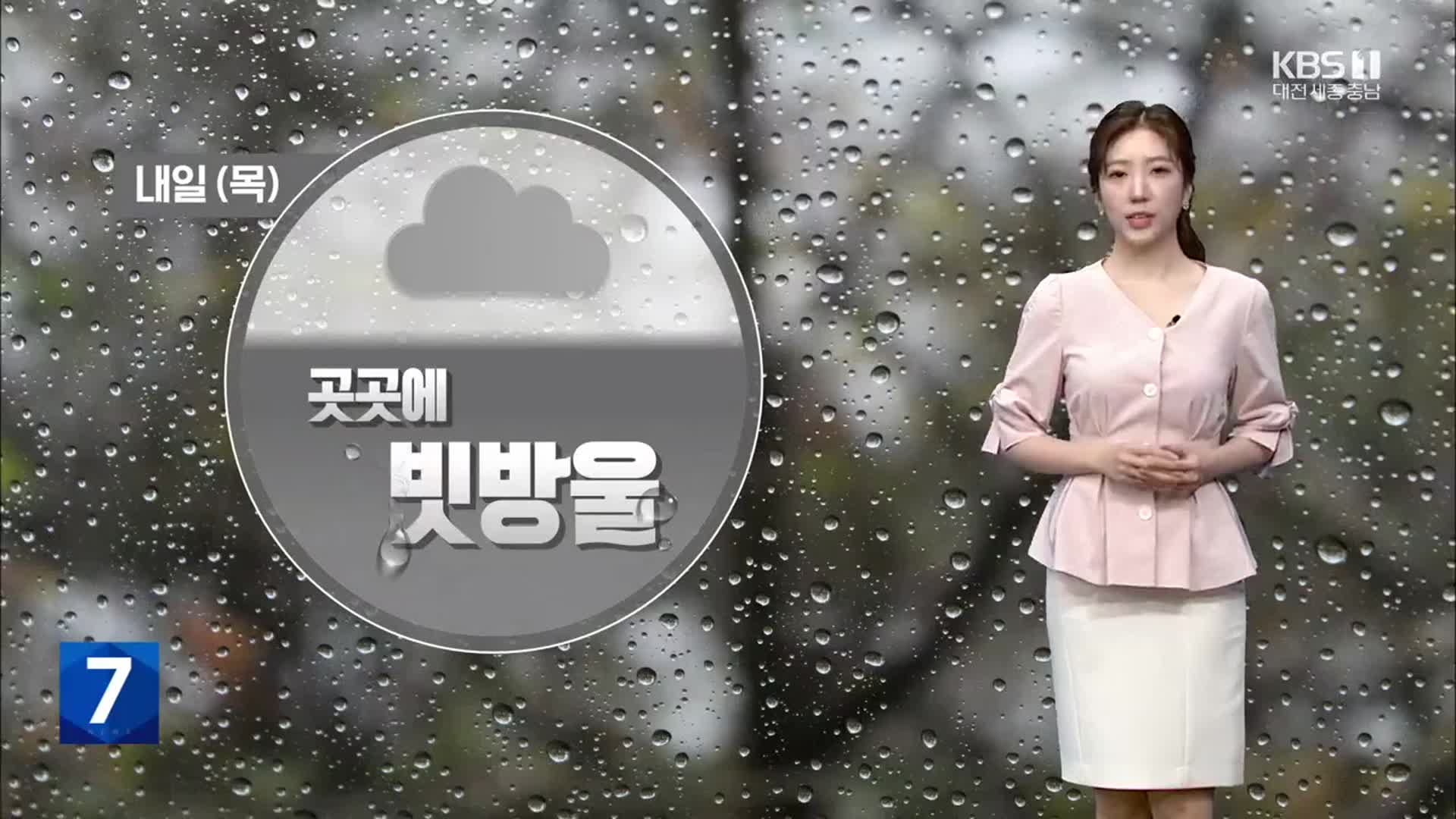 [날씨] 대전·세종·충남 내일 흐리고 빗방울…더위 누그러져
