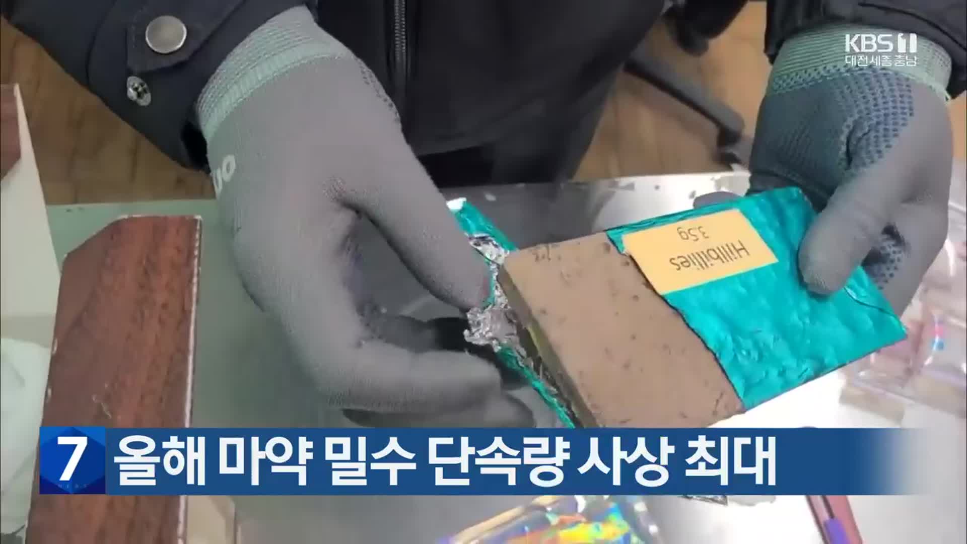 올해 마약 밀수 단속량 사상 최대