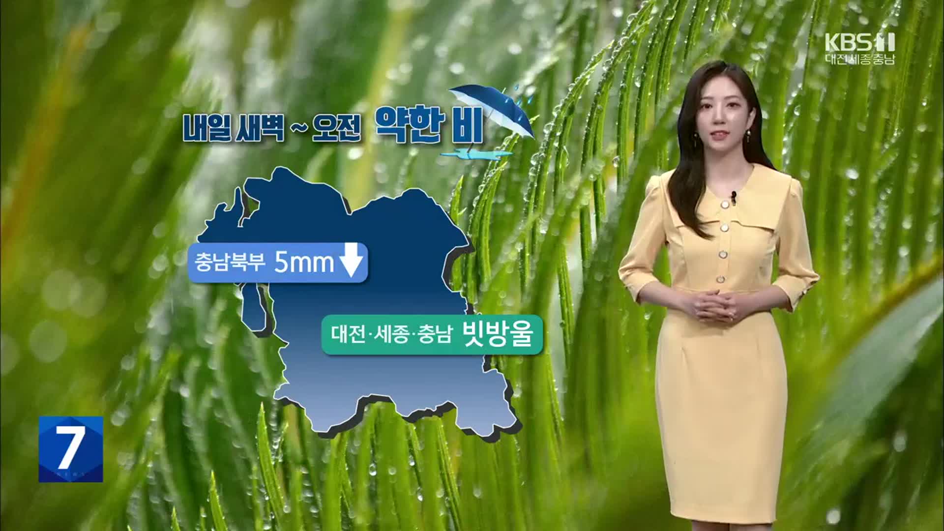 [날씨] 대전·세종·충남 내일 흐리고 약한 비…저녁 남부 내륙 소나기