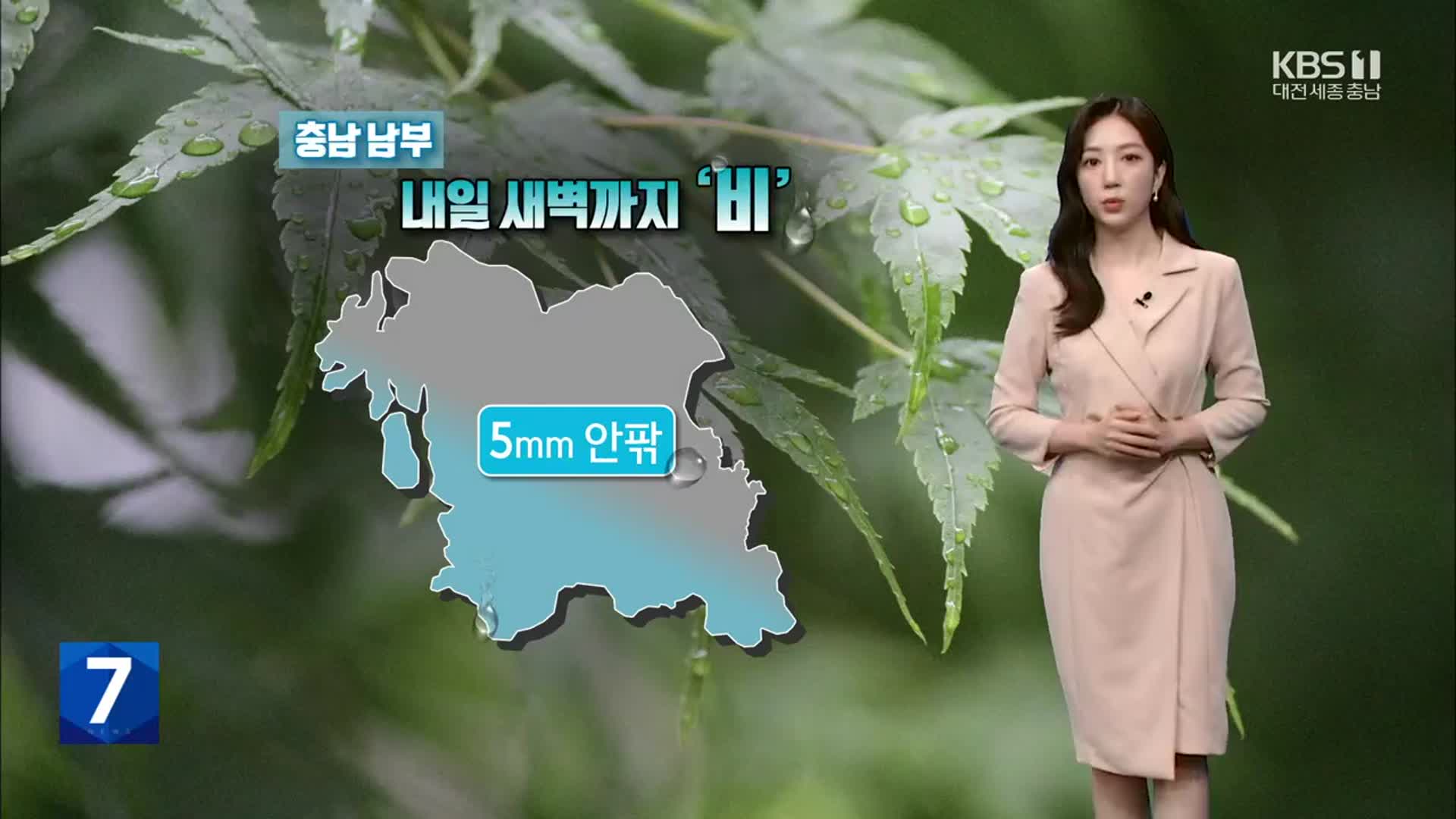 [날씨] 내일 새벽까지 충남 남부 ‘비’…내일 오후부터 차차 맑아져