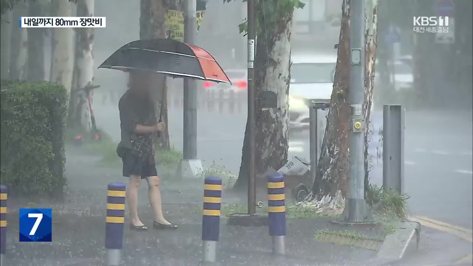 중부지방 내일까지 최대 80㎜…이 시각 갑천 상황은?