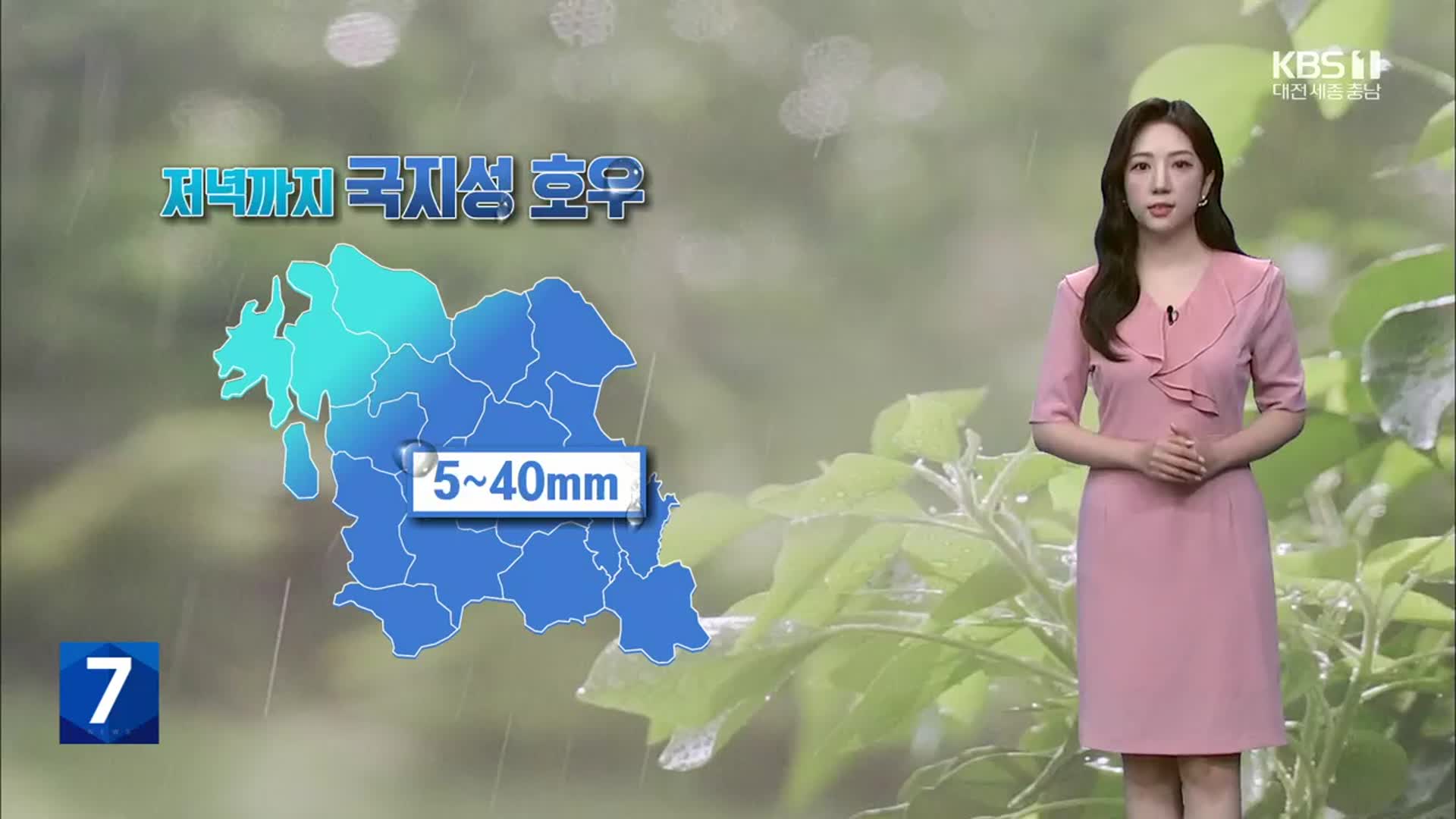 [날씨] 대전·세종·충남 오늘 저녁까지 비…내일 폭염·소나기