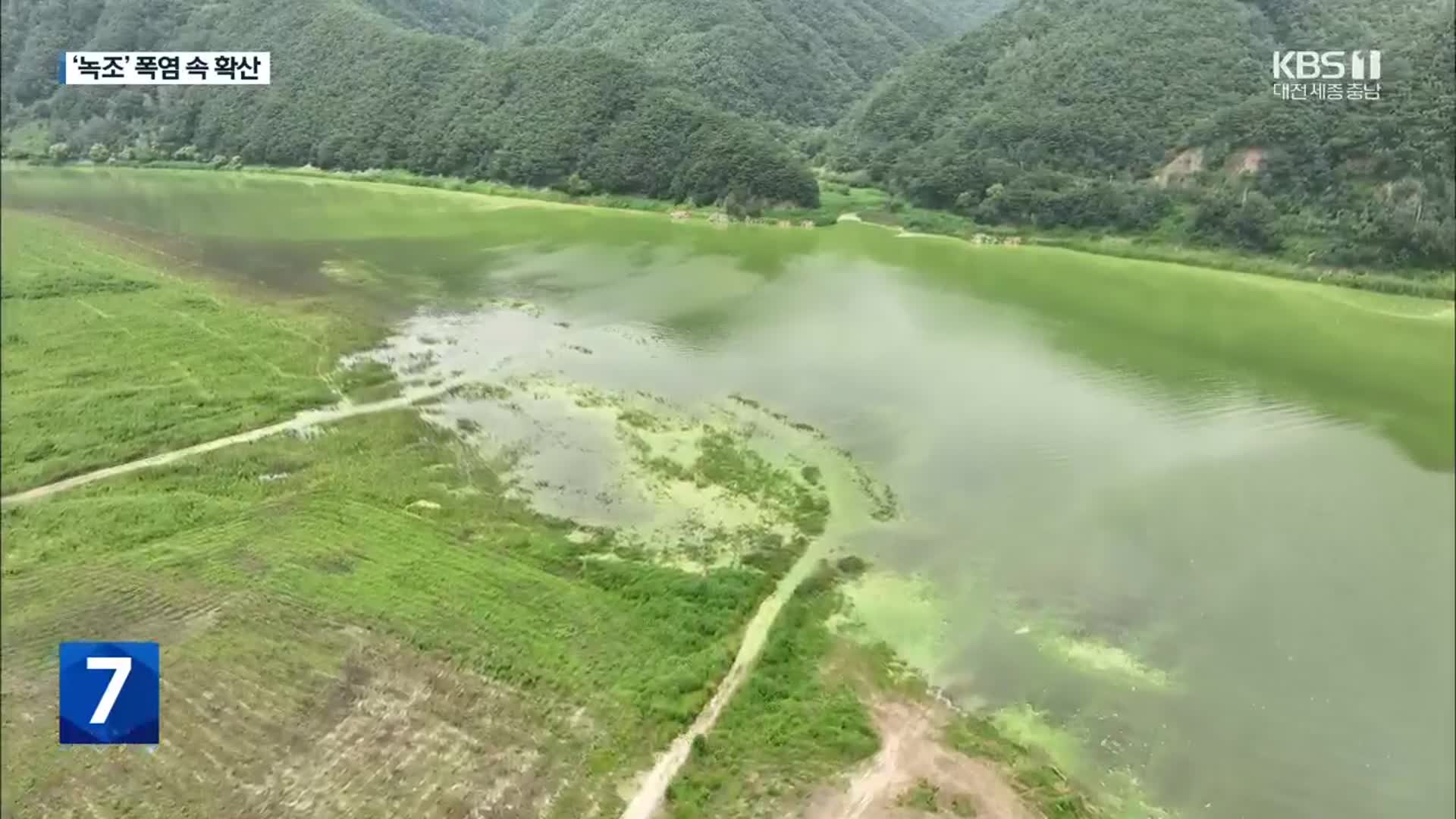 소양호 상류 덮은 녹조…‘폭염’ 속 수온 32도까지 올라