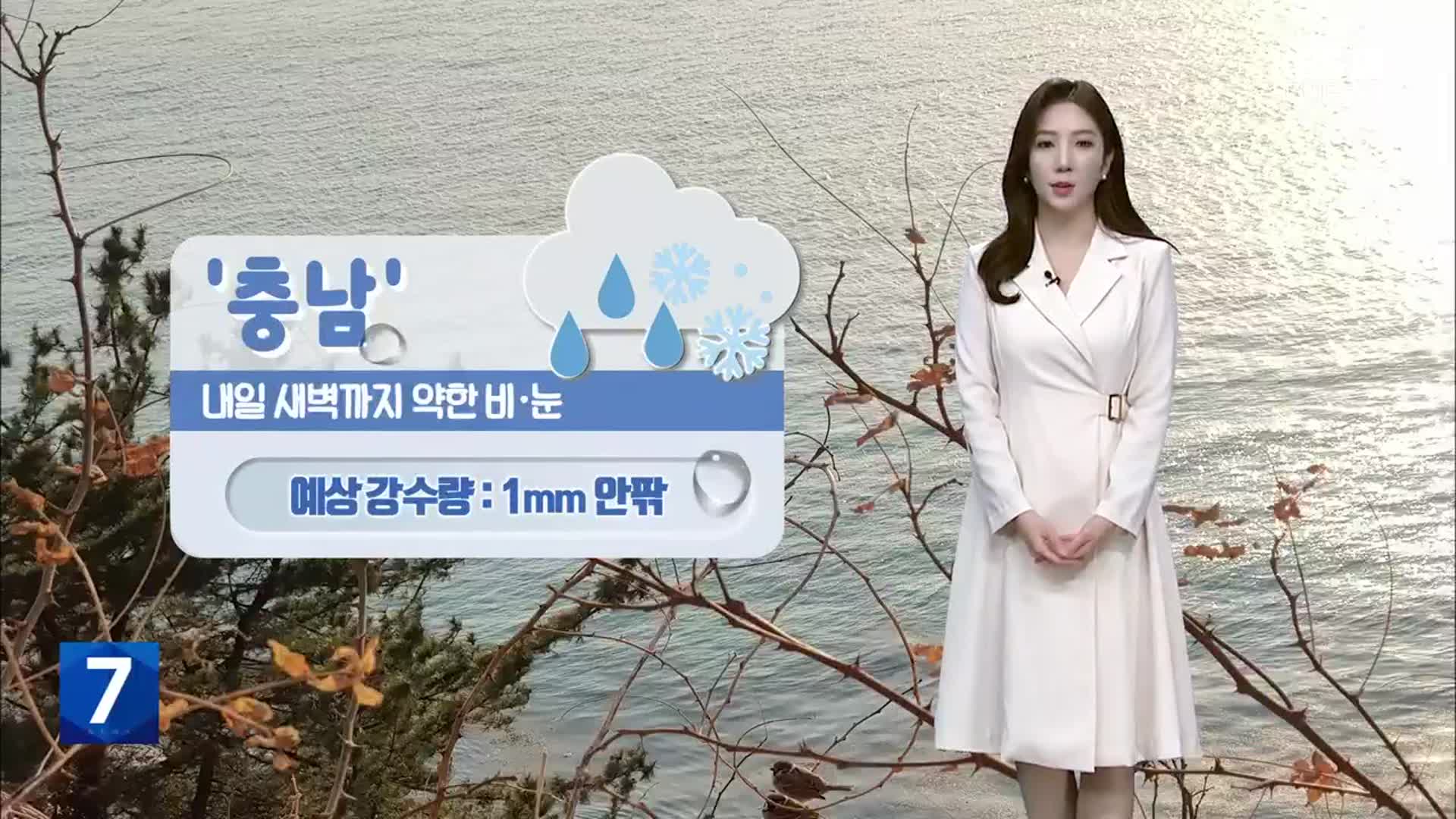 [날씨] 대전·세종·충남 내일 다시 추워져…충남 새벽까지 비·눈