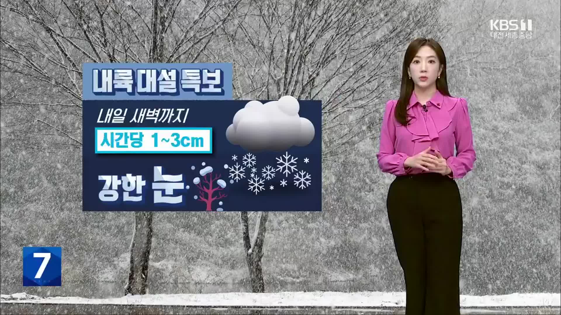 [날씨] 대전·세종·충남 곳곳 대설특보…내일 아침까지 많은 눈