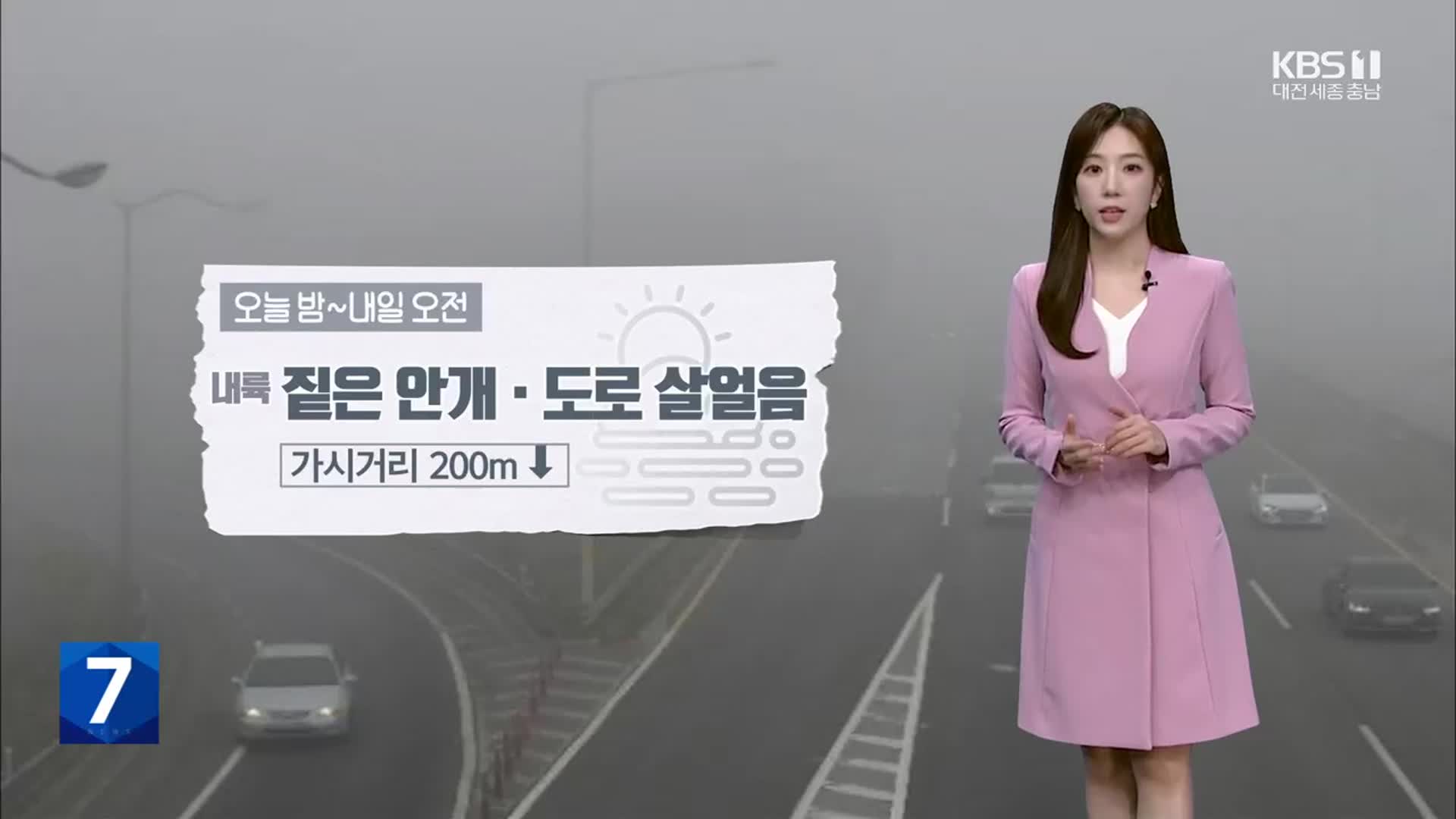 [날씨] 대전·세종·충남 내일 오전까지 ‘짙은 안개’…초미세먼지↑