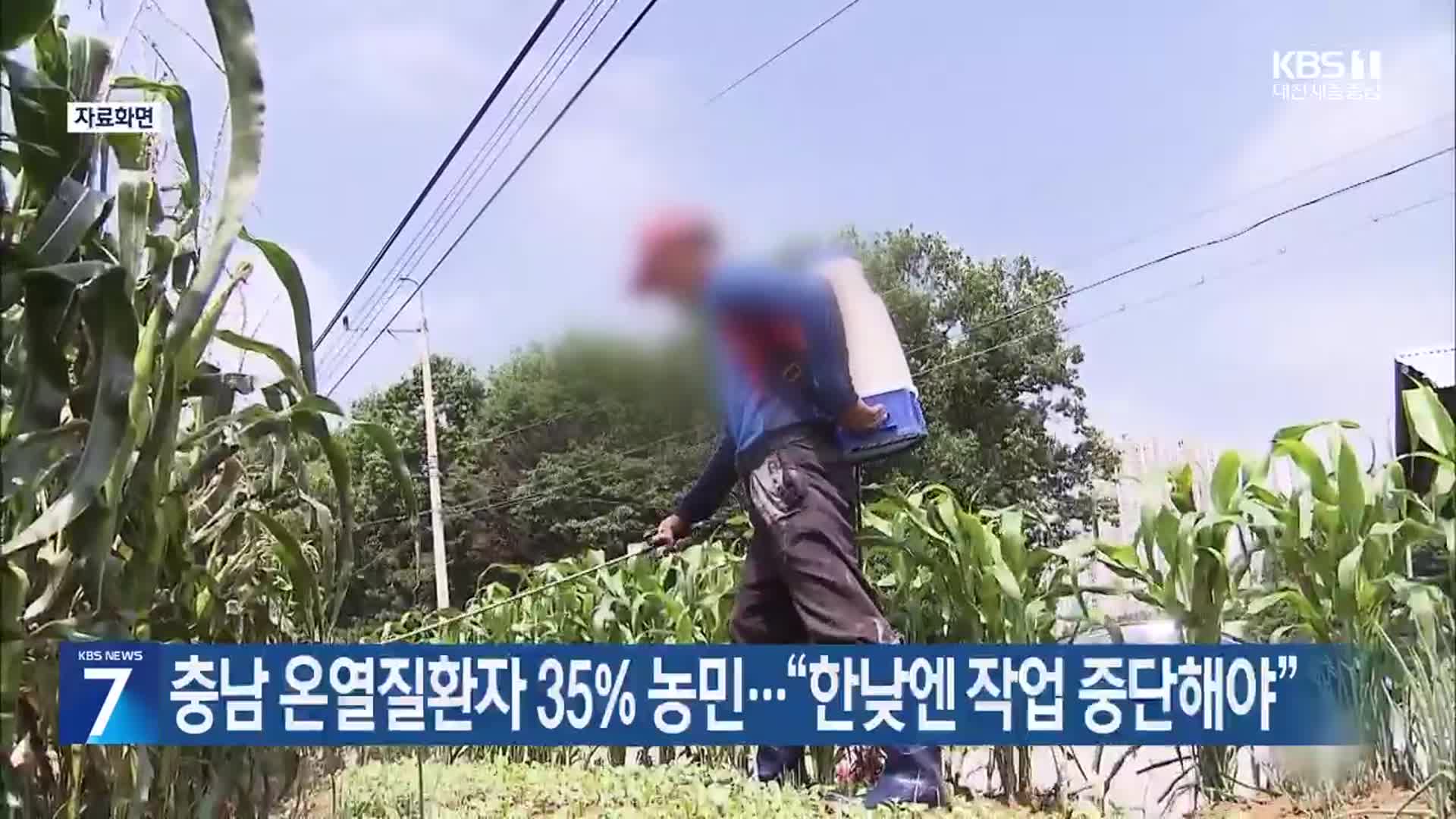 충남 온열질환자 35% 농민…“한낮엔 작업 중단해야”