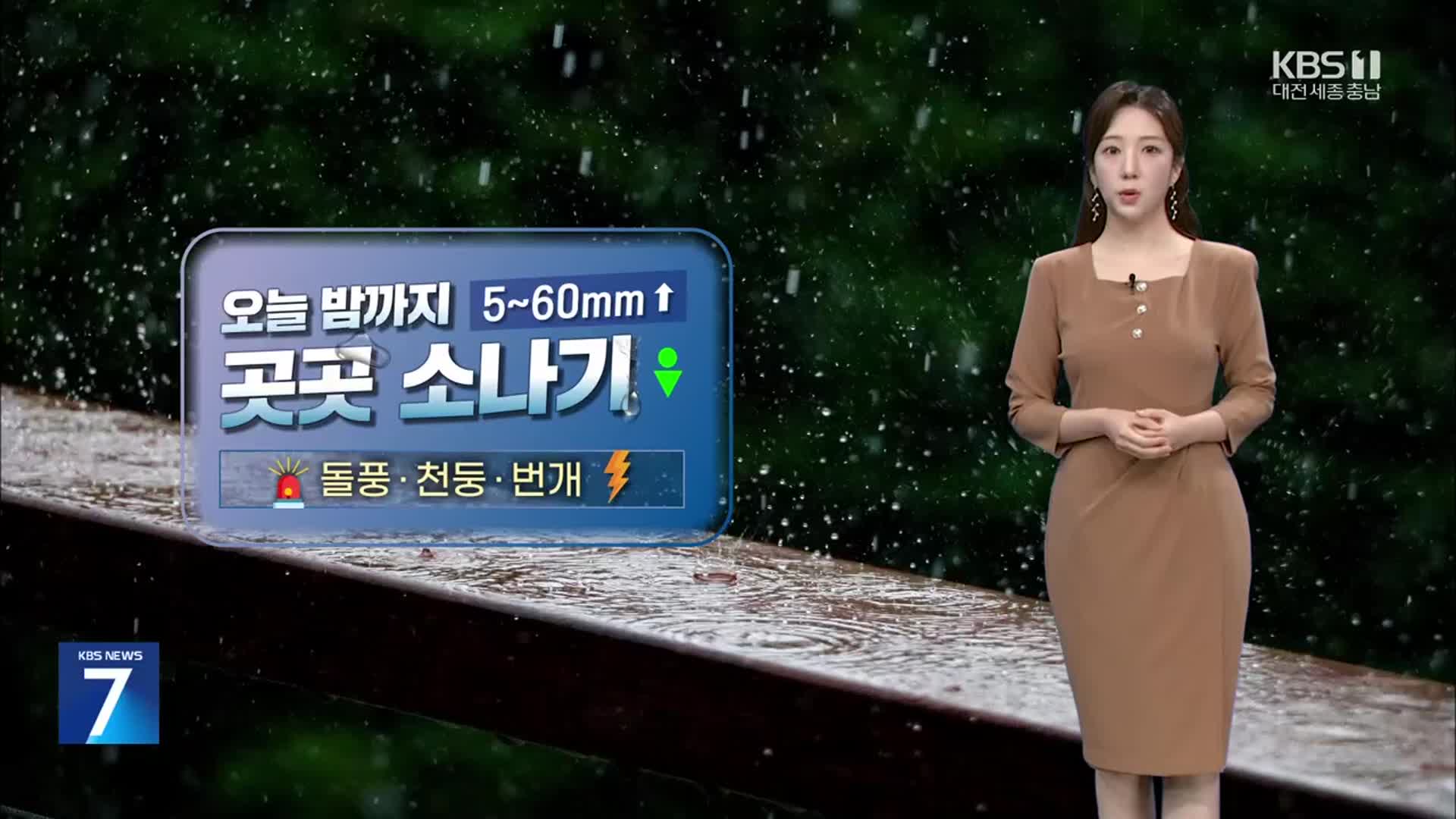 [날씨] 대전·세종·충남 밤까지 곳곳 소나기…내일~모레 비