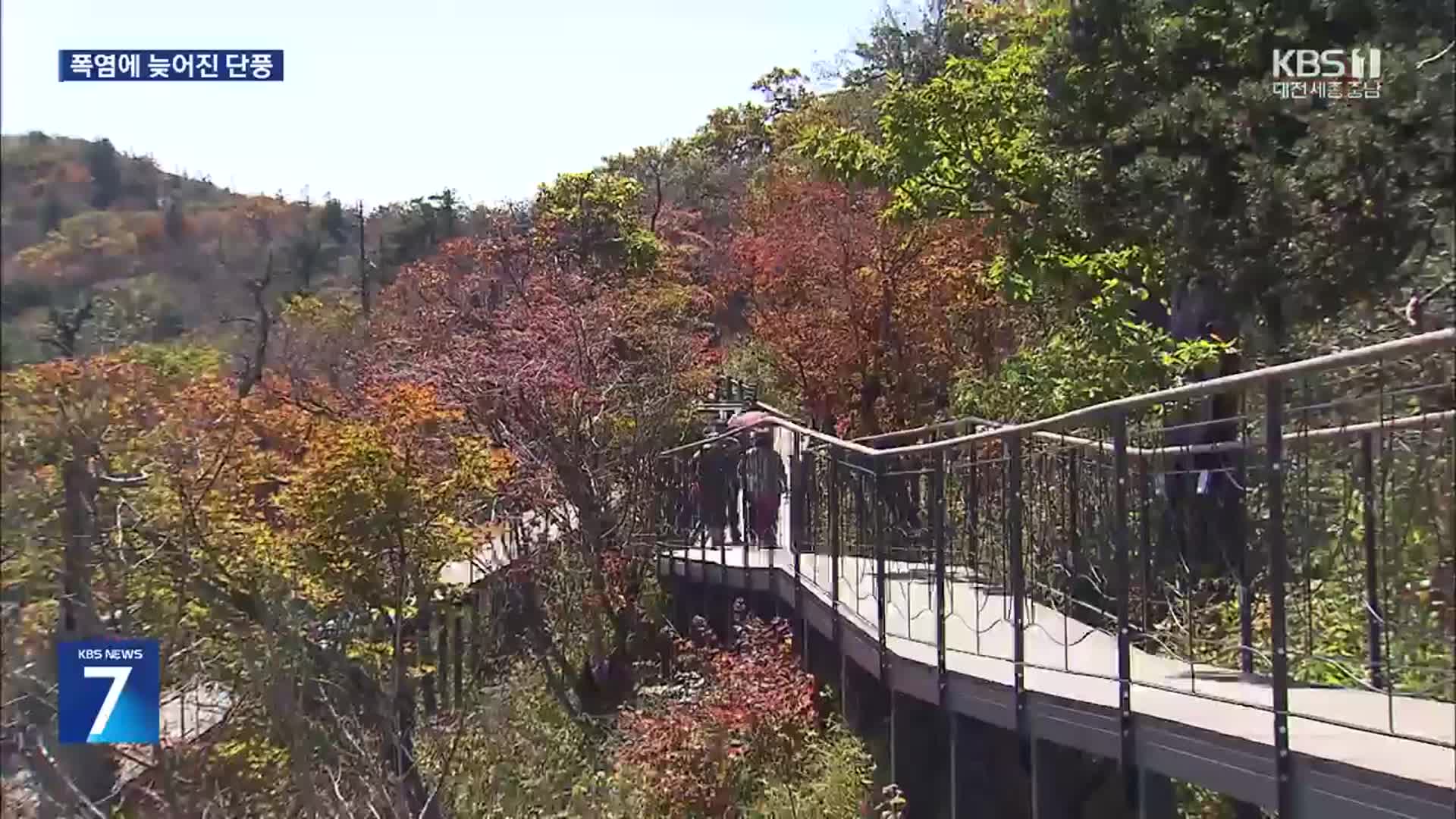 폭염에 단풍도 밀렸다…설악산은 한 달 뒤 절정