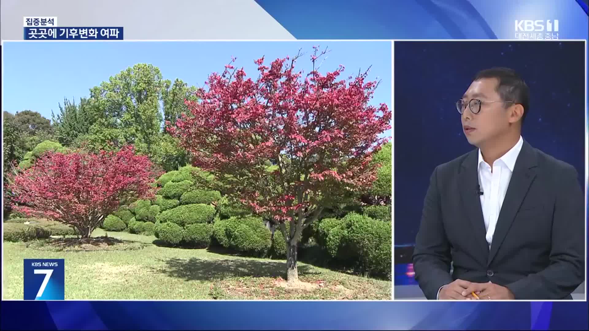 [집중분석] 폭염 여파로 일상의 변화…기후 위기 대응은?