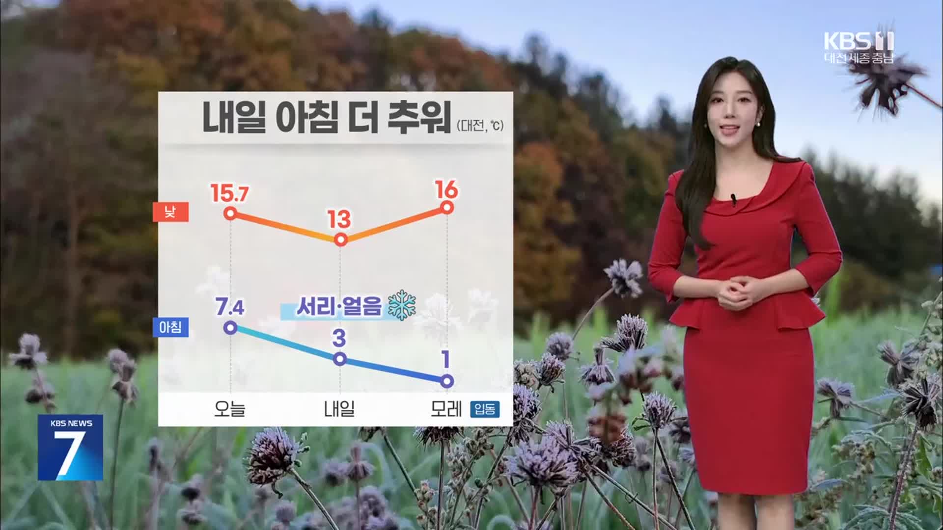 [날씨] 대전·세종·충남 내일 아침 더 추워…강풍·서리·얼음 유의