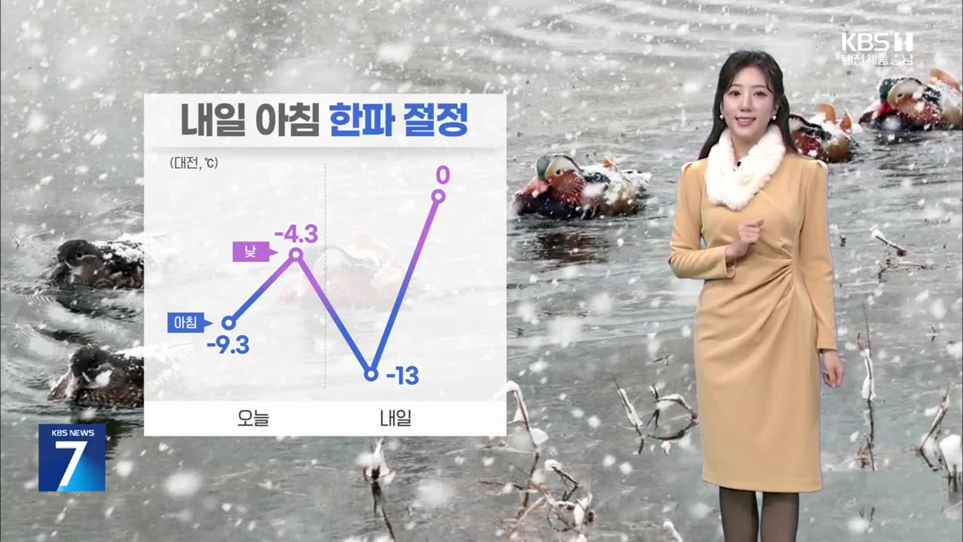 [날씨] 대전·세종·충남 내일 아침 기온 더 낮아…서해안 많은 눈