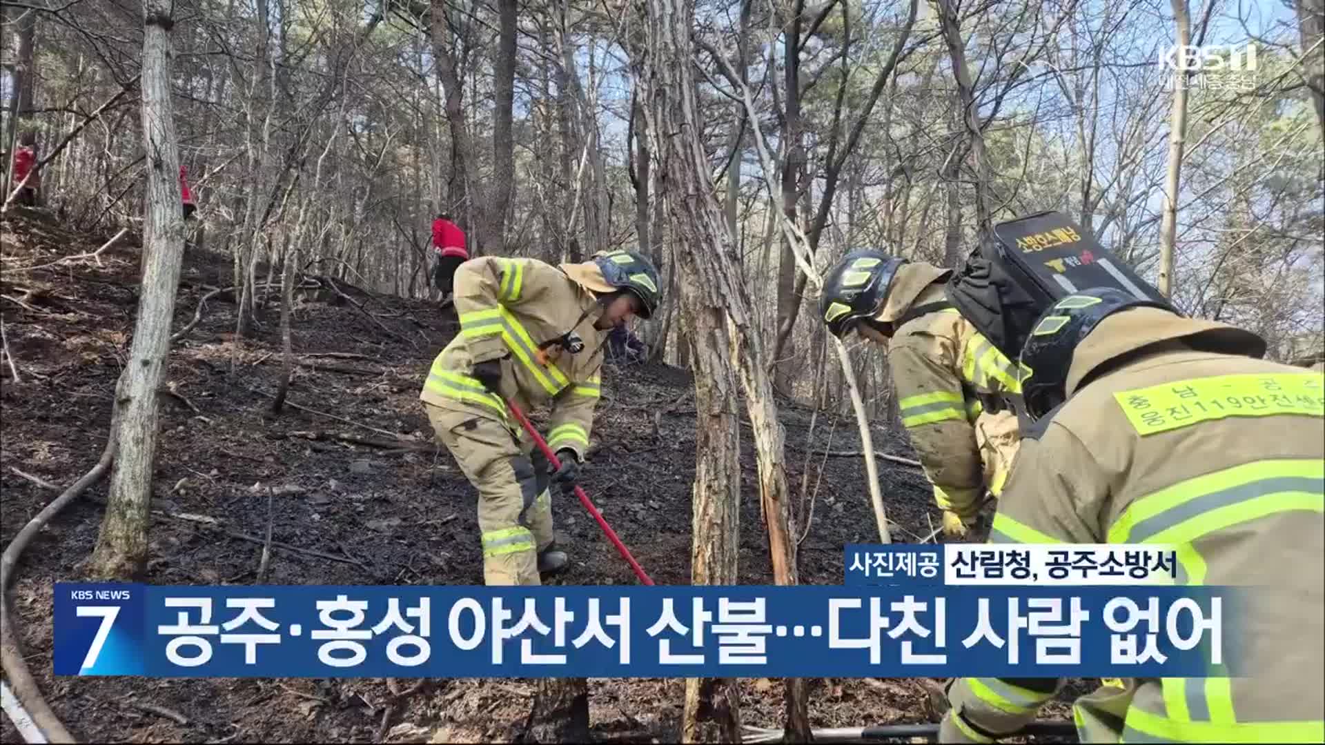 공주·홍성 야산서 산불…다친 사람 없어