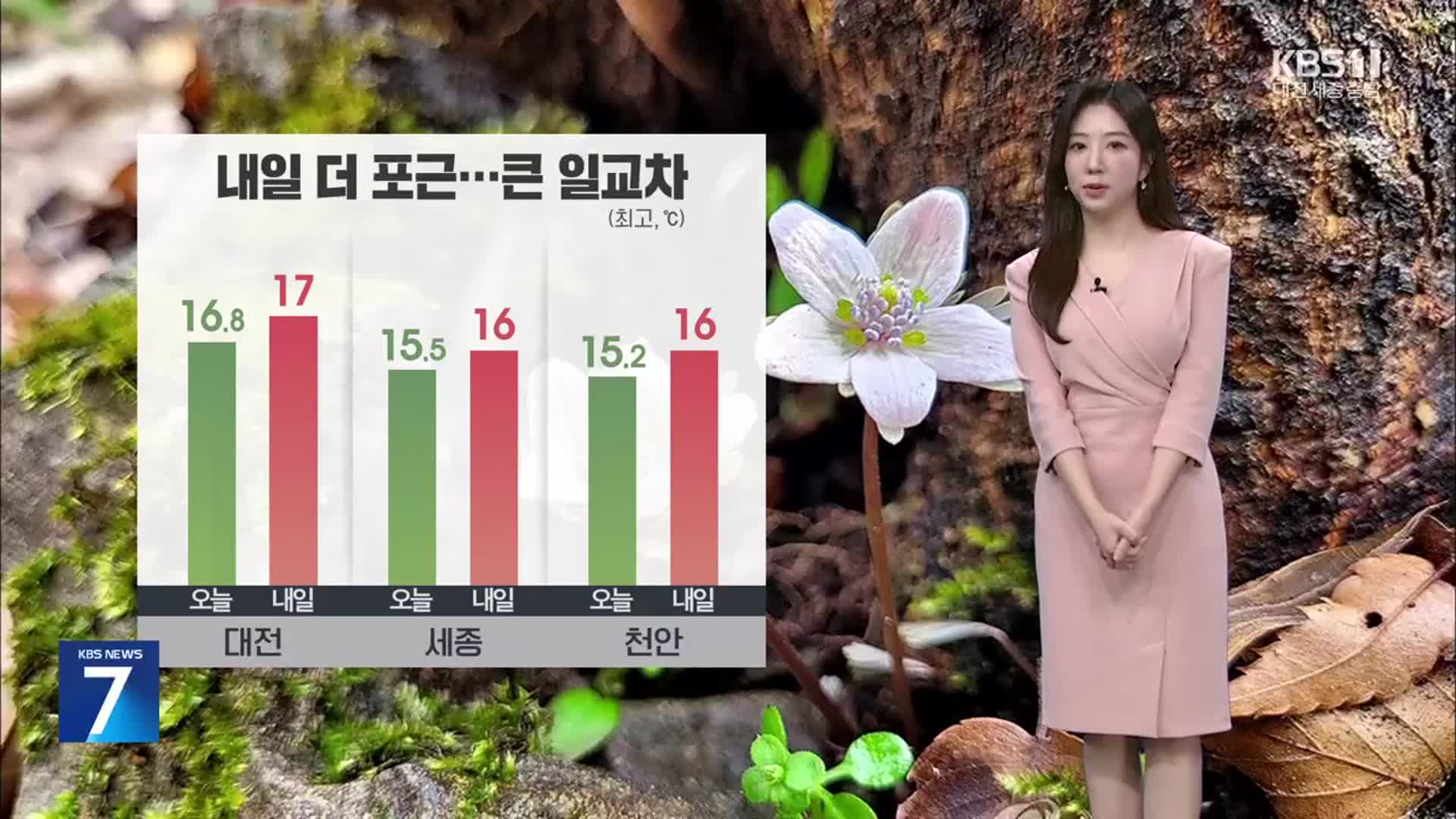 [날씨] 대전·세종·충남 내일 더 포근…곳곳에 초미세먼지 나쁨