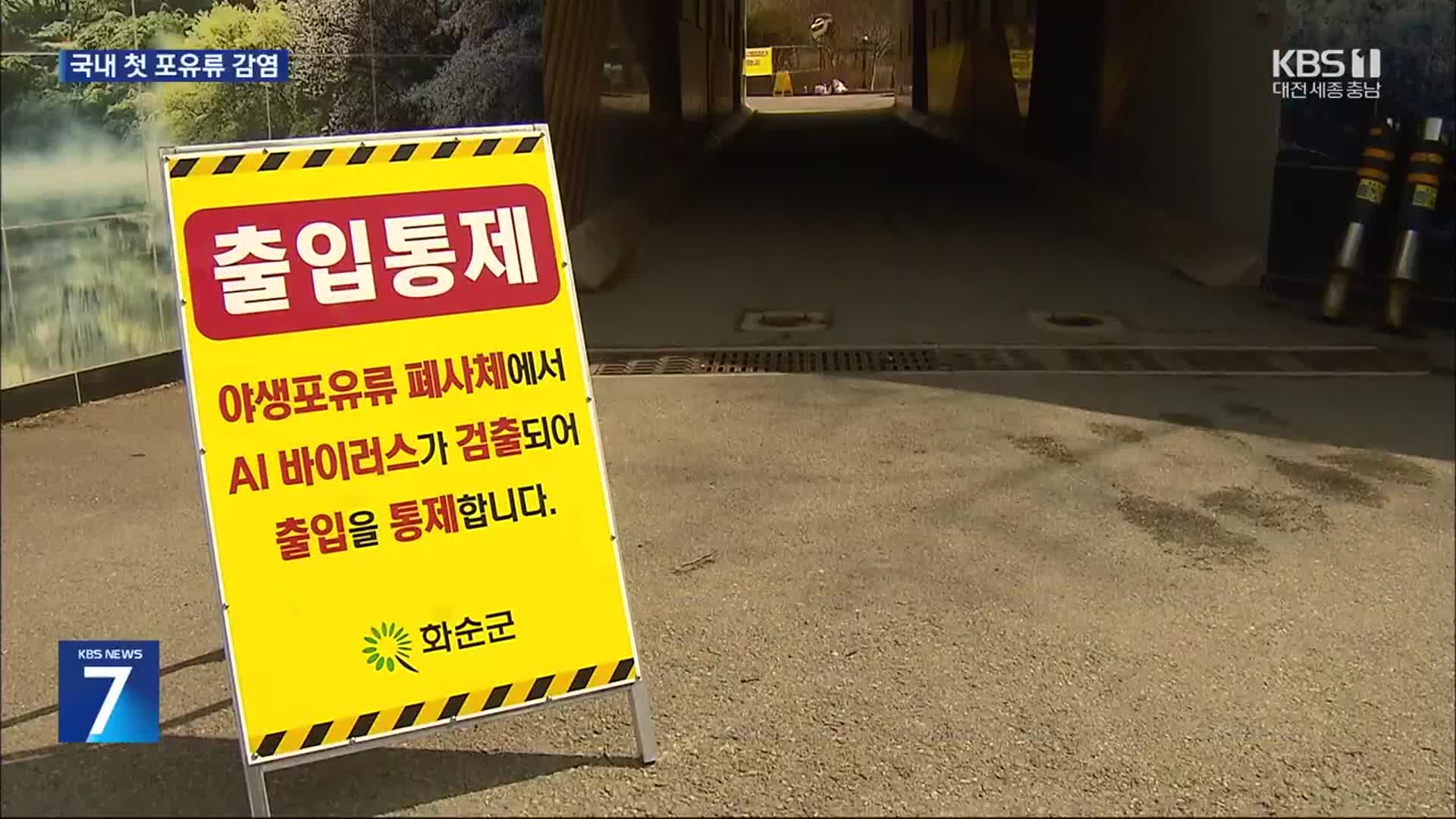 삵 사체서 조류인플루엔자…국내 첫 포유류 감염
