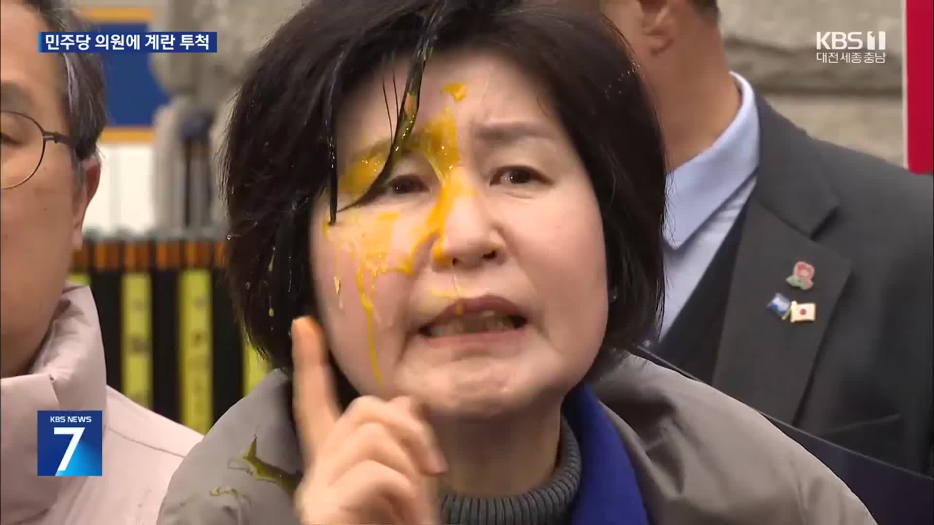 헌재 앞 민주당 의원에 계란 투척…경찰 수사