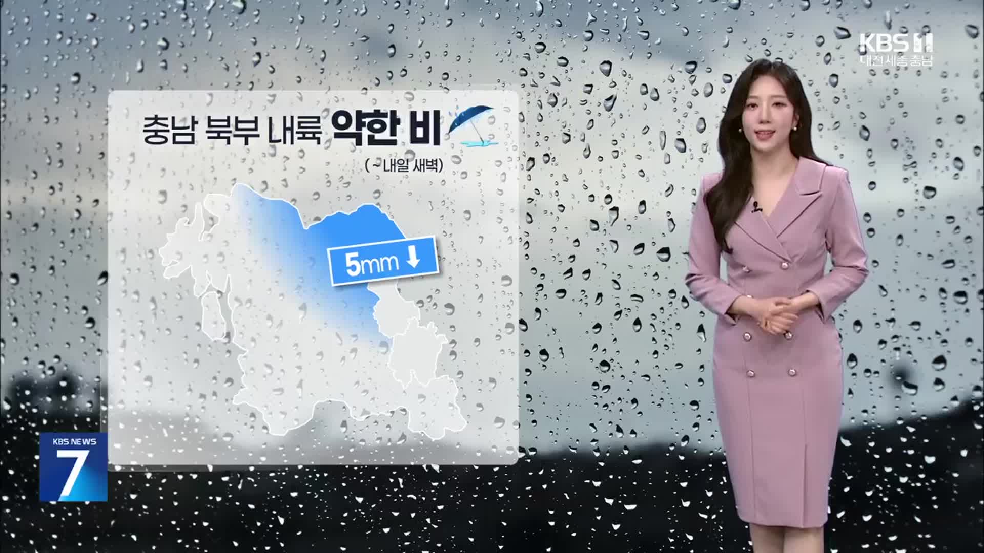 [날씨] 내일 새벽까지 충남 북부 내륙 비…한낮 32도 여름 더위