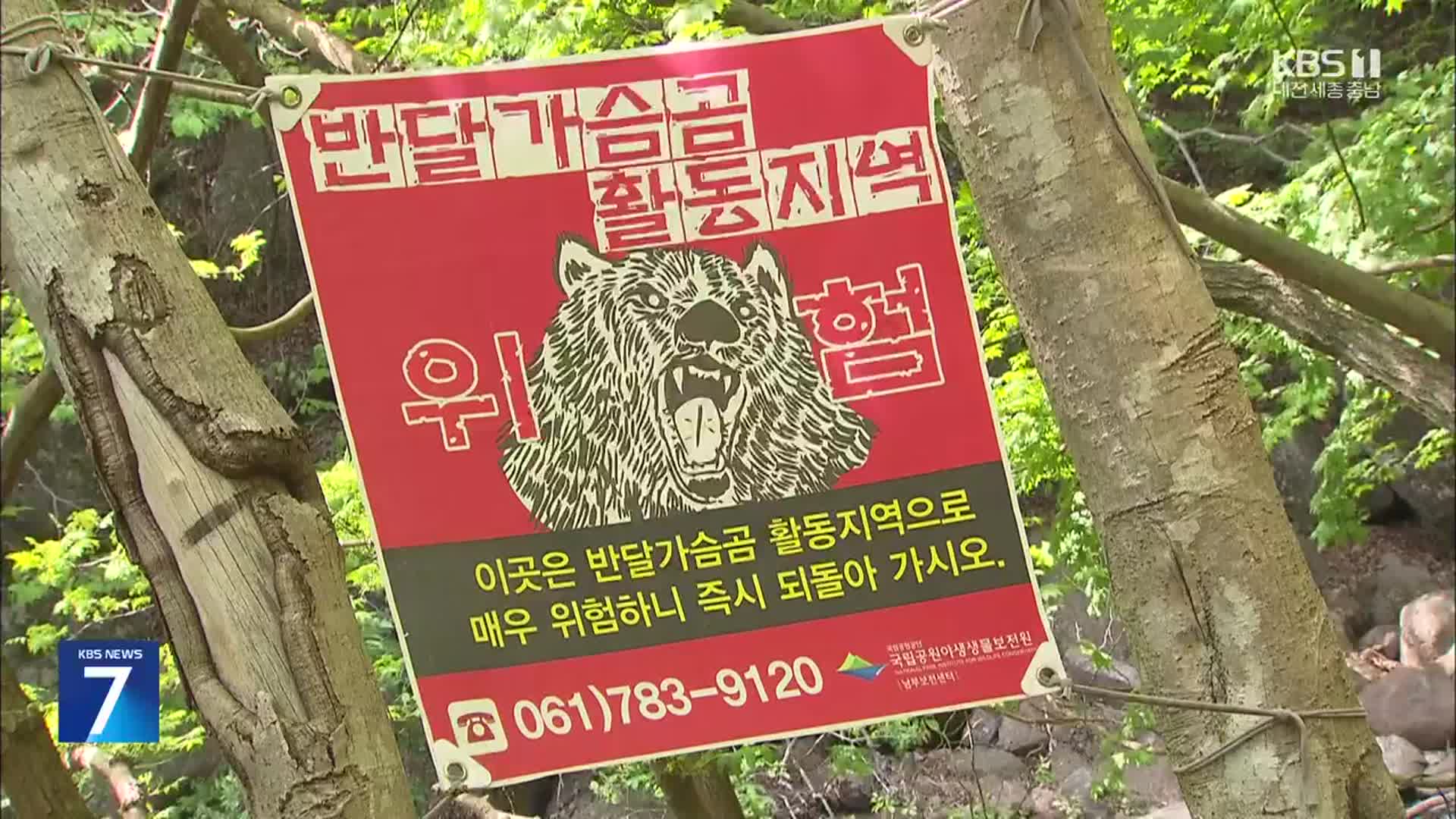 반달가슴곰 활동 본격화…등산객 주의할 점은?