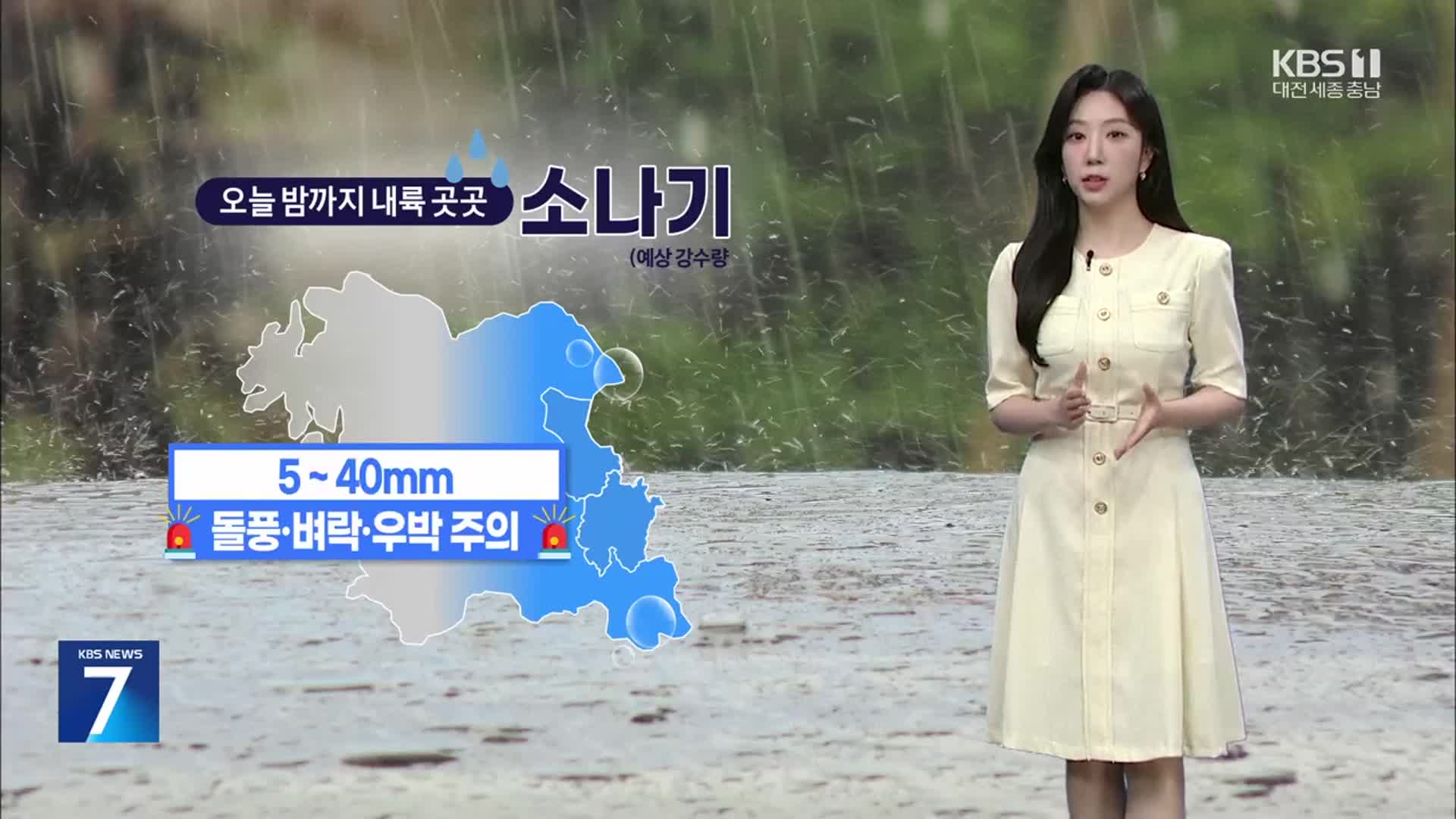 [날씨] 대전·세종·충남 밤까지 내륙 곳곳 소나기…내일 새벽~오후 비