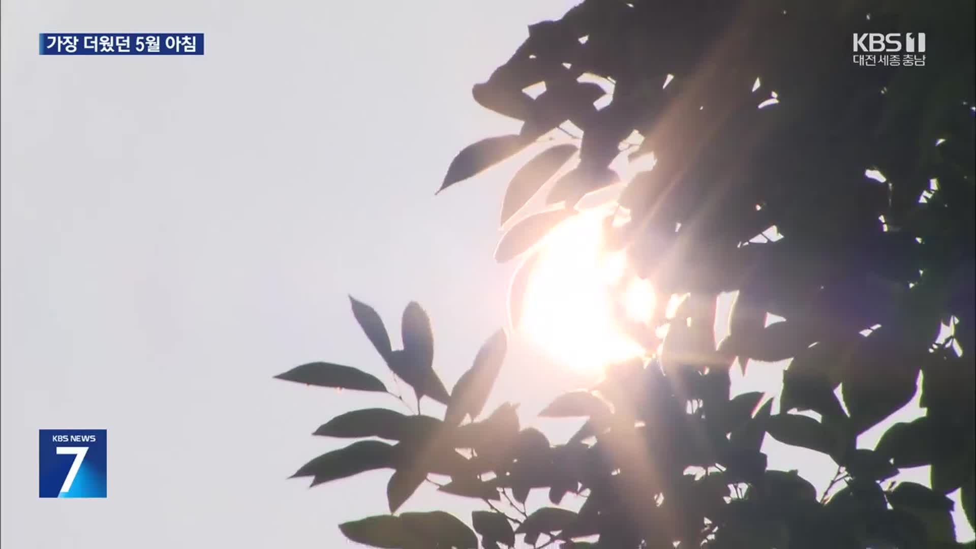 곳곳서 가장 더운 5월 아침…때 이른 더위 언제까지?