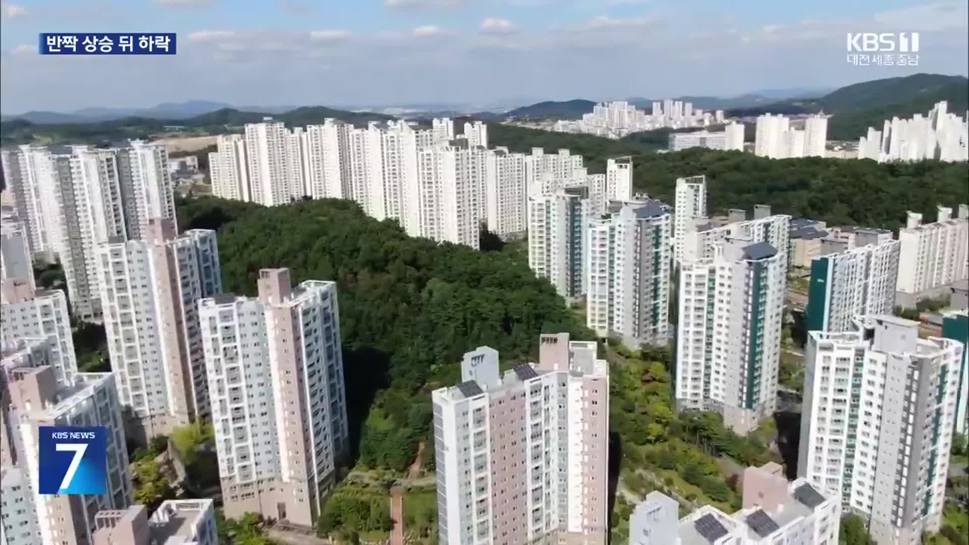 ‘청와대 복귀’에 세종시 아파트값 또 ‘출렁’…2020년 데자뷰?