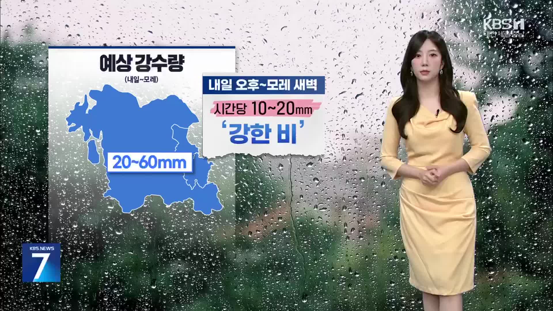 [날씨] 대전·세종·충남 내일 낮부터 다시 장맛비…더위 한풀 꺾여