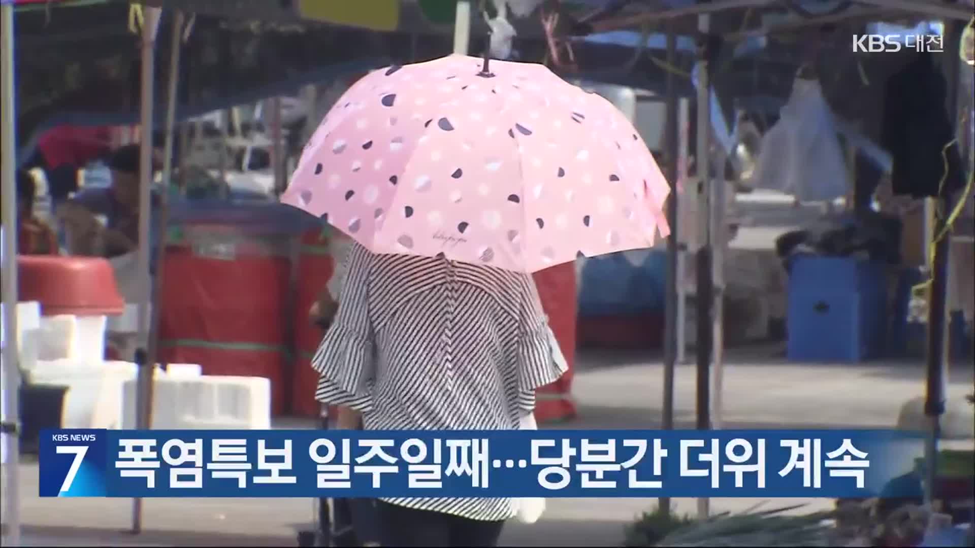 대전·세종·충남 폭염특보 일주일째…당분간 더위 계속