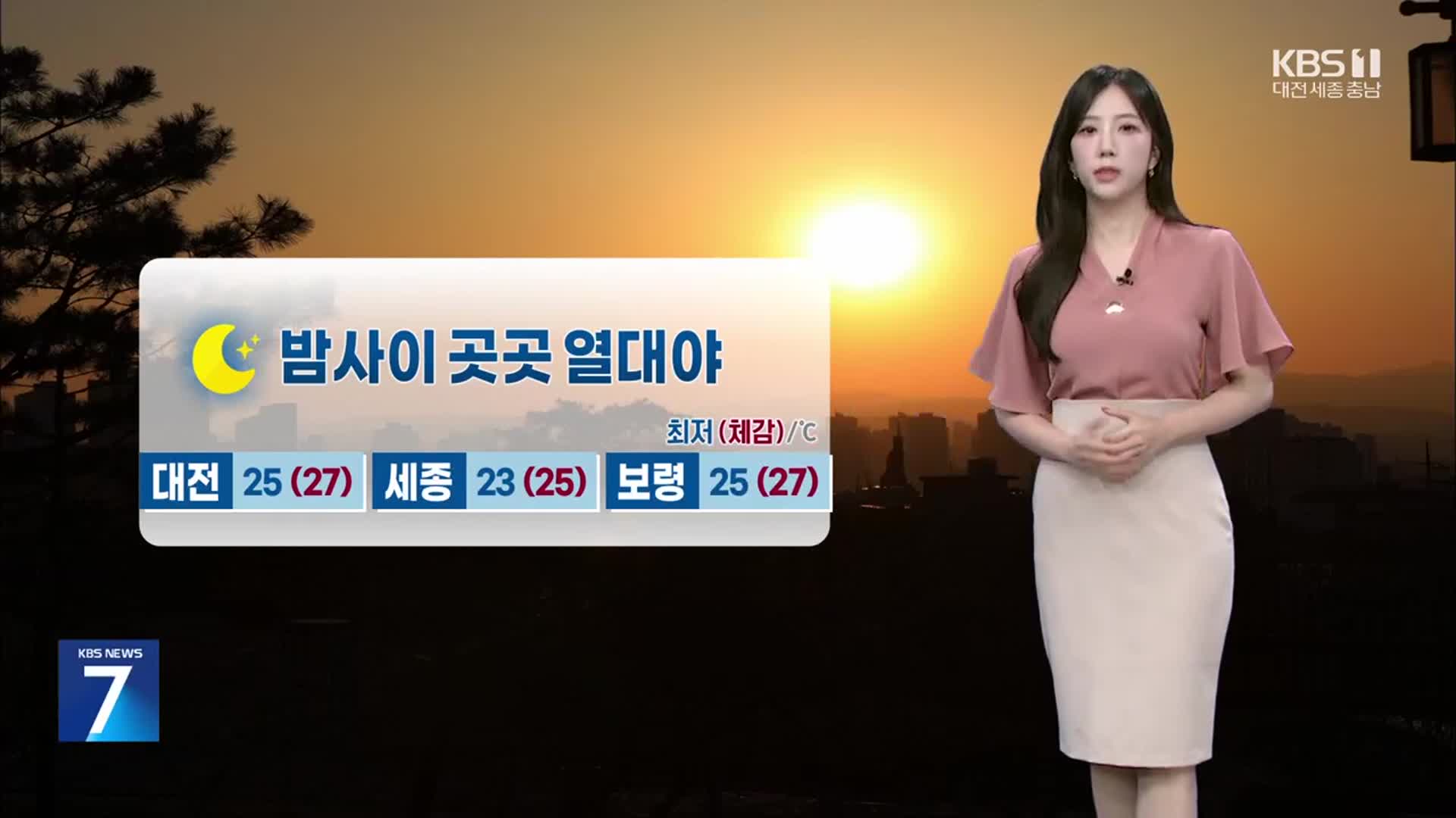 [날씨] 대전·세종·충남 밤사이 곳곳 열대야…당분간 폭염 계속
