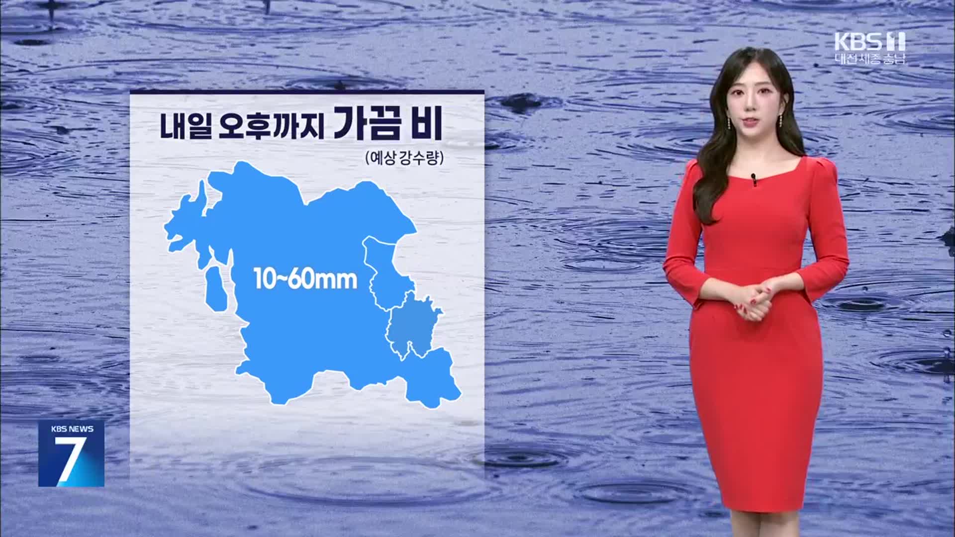 [날씨] 대전·세종·충남 시간당 20~30mm ‘강한 비’…이번 주 잦은 비