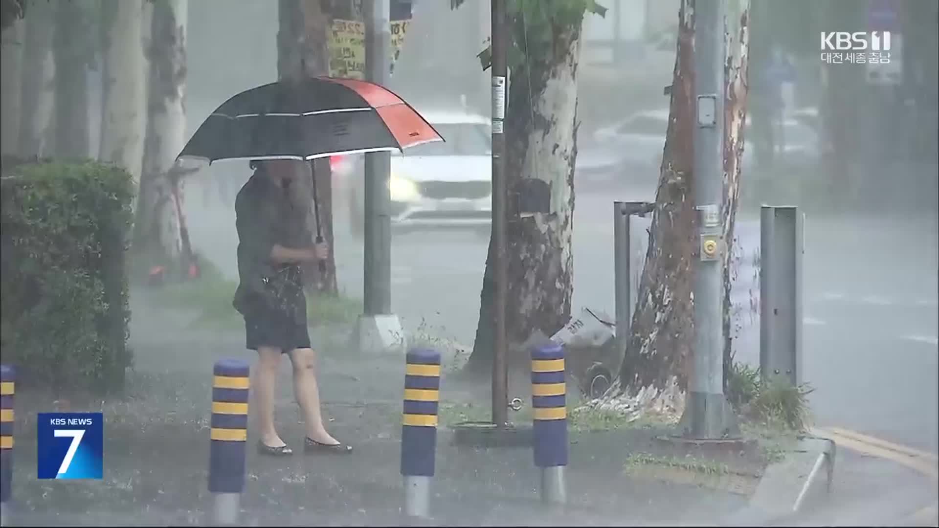 충남 최대 200mm 이상 비 예보…이 시각 대전
