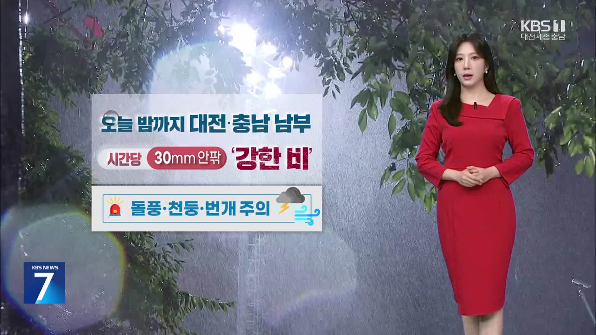 [날씨] 대전·세종·충남 내일까지 많은 비…시간당 30mm 집중호우