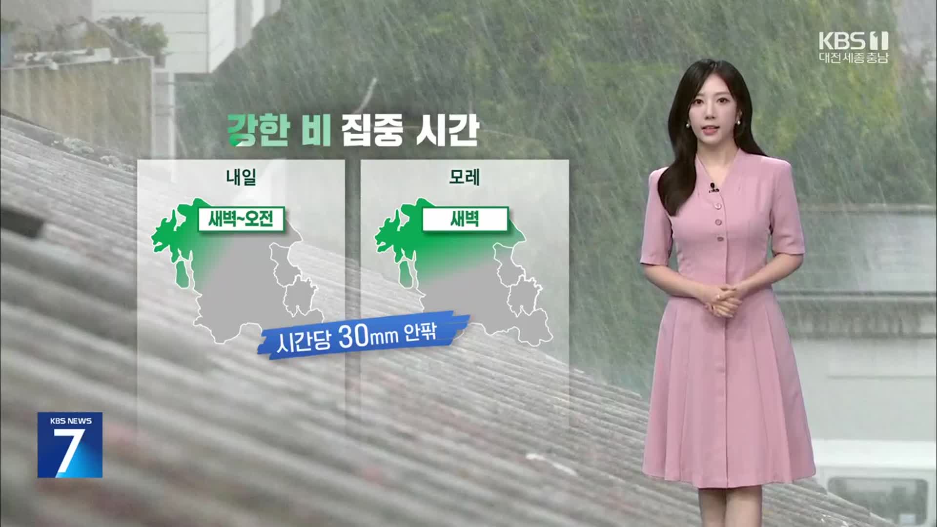 [날씨] 대전·세종·충남 모레 오후까지 비…많은 곳 100mm↑