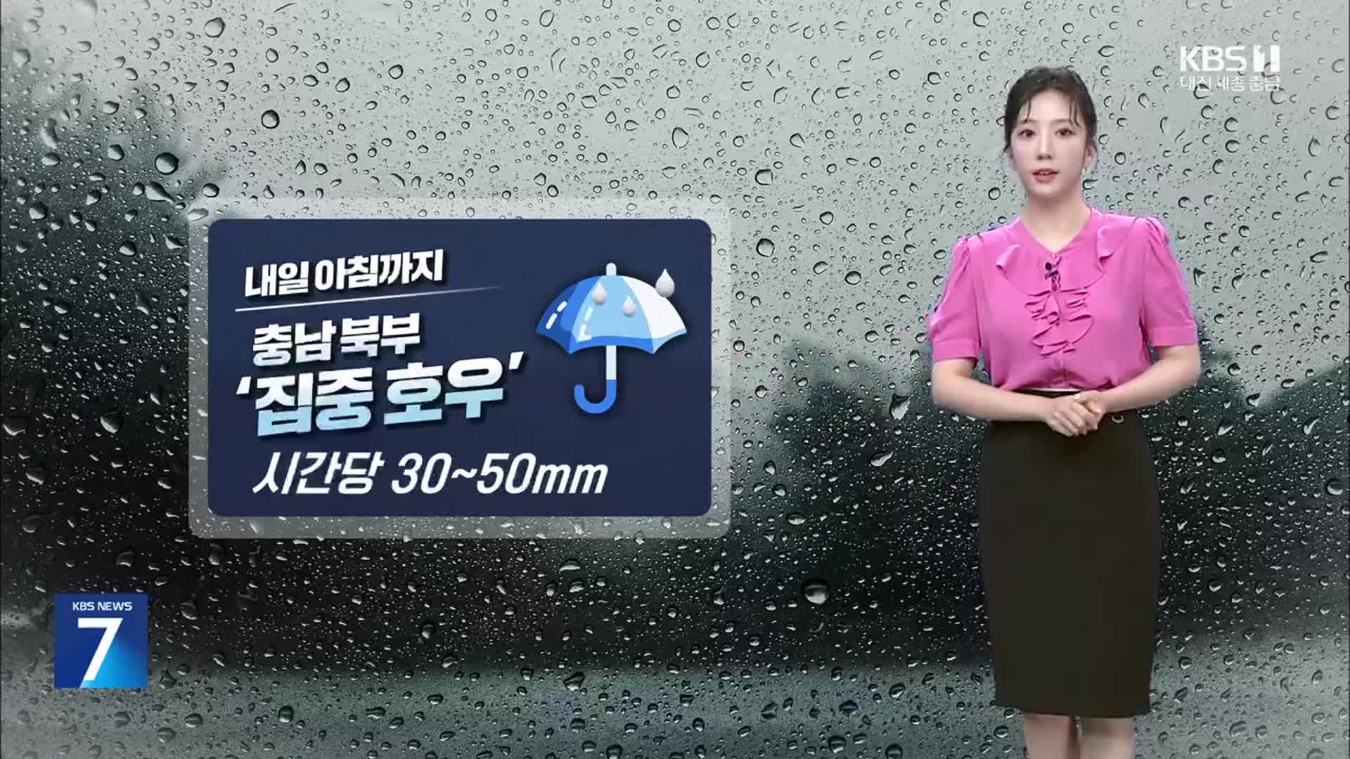 [날씨] 대전·세종·충남 북부 중심 강한 비…시간당 30~50mm
