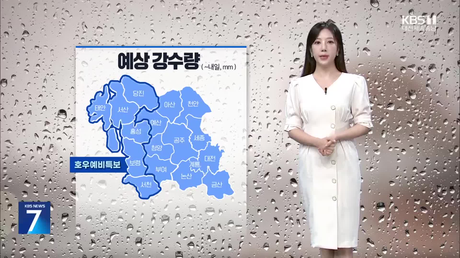 [날씨] 대전·세종·충남 폭염특보 해제…내일 오후까지 비
