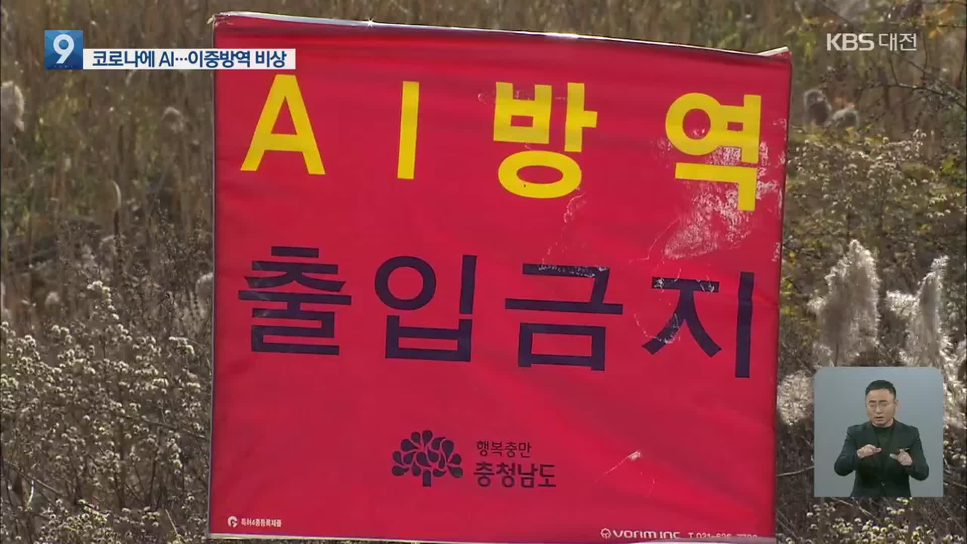 코로나19 확산 속 AI까지…충남 이중방역 비상