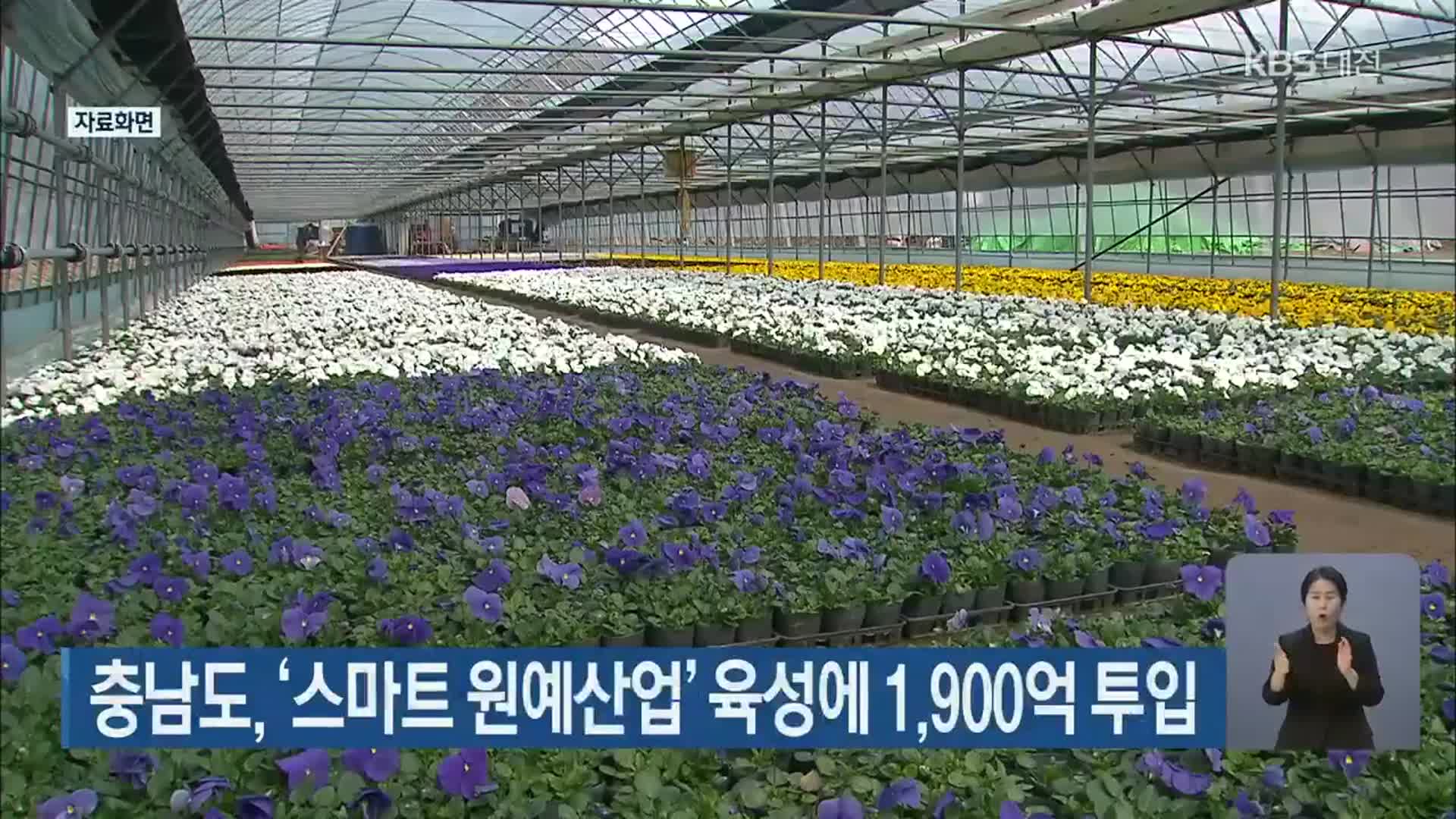 충남도, ‘스마트 원예산업’ 육성에 1,900억 투입 