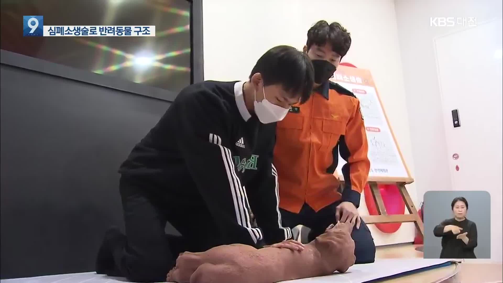 “반려동물 응급처치 내 손으로”…전국 첫 교육프로그램 도입