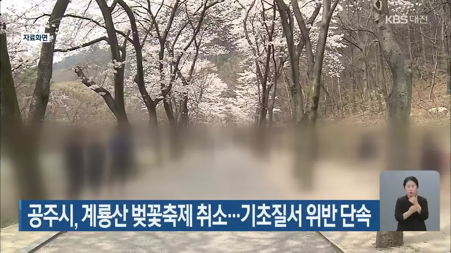 공주시, 계룡산 벚꽃축제 취소…기초질서 위반 단속