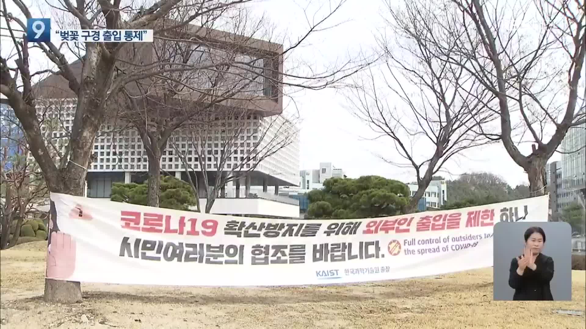 봄꽃 속속 개화…대학 캠퍼스·기업체 방역 비상
