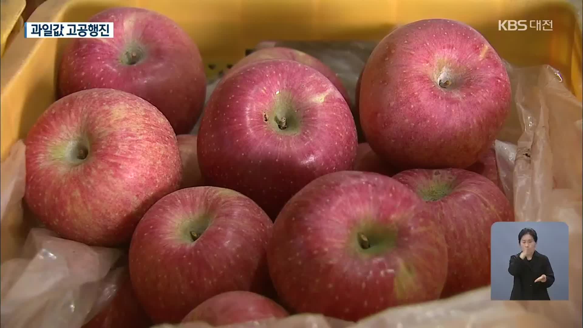 과일값 고공행진…사과 70%↑·배 42%↑