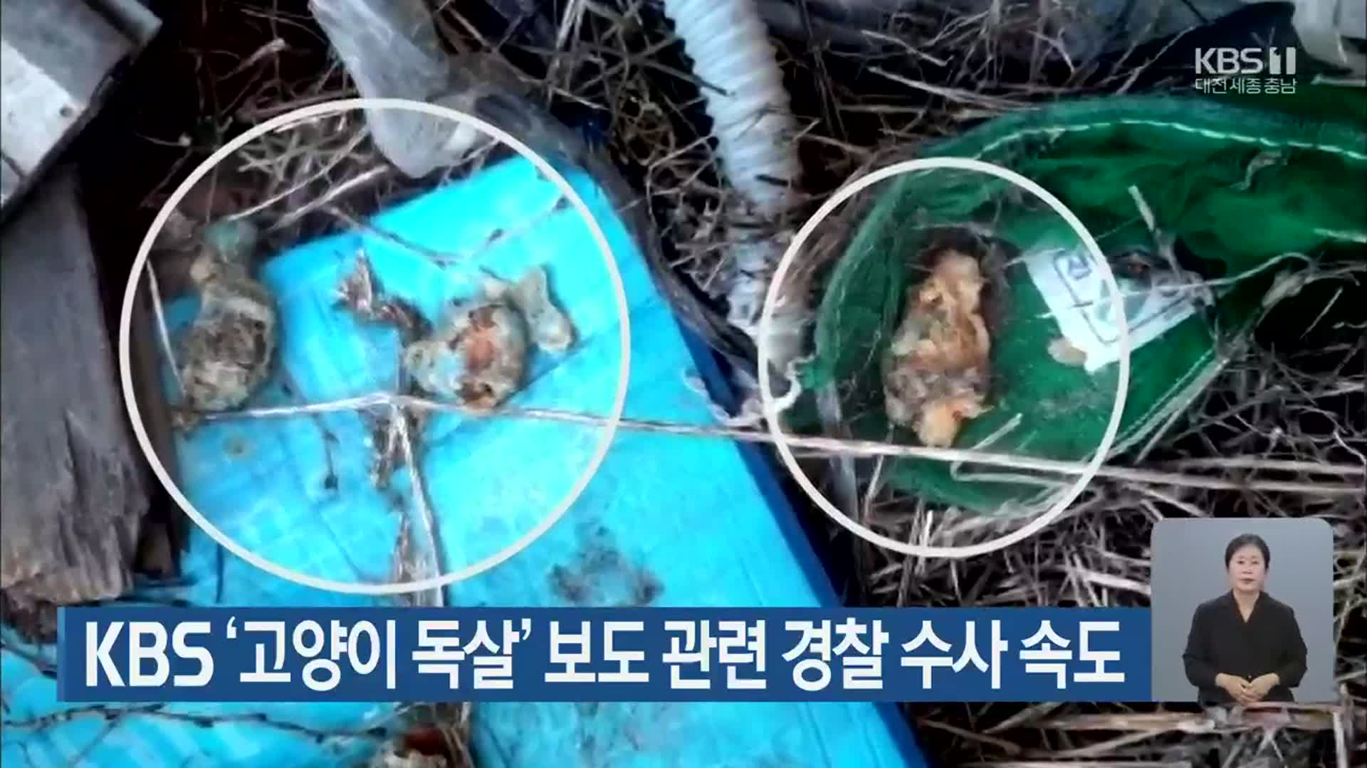 KBS ‘고양이 독살’ 보도 관련 경찰 수사 속도