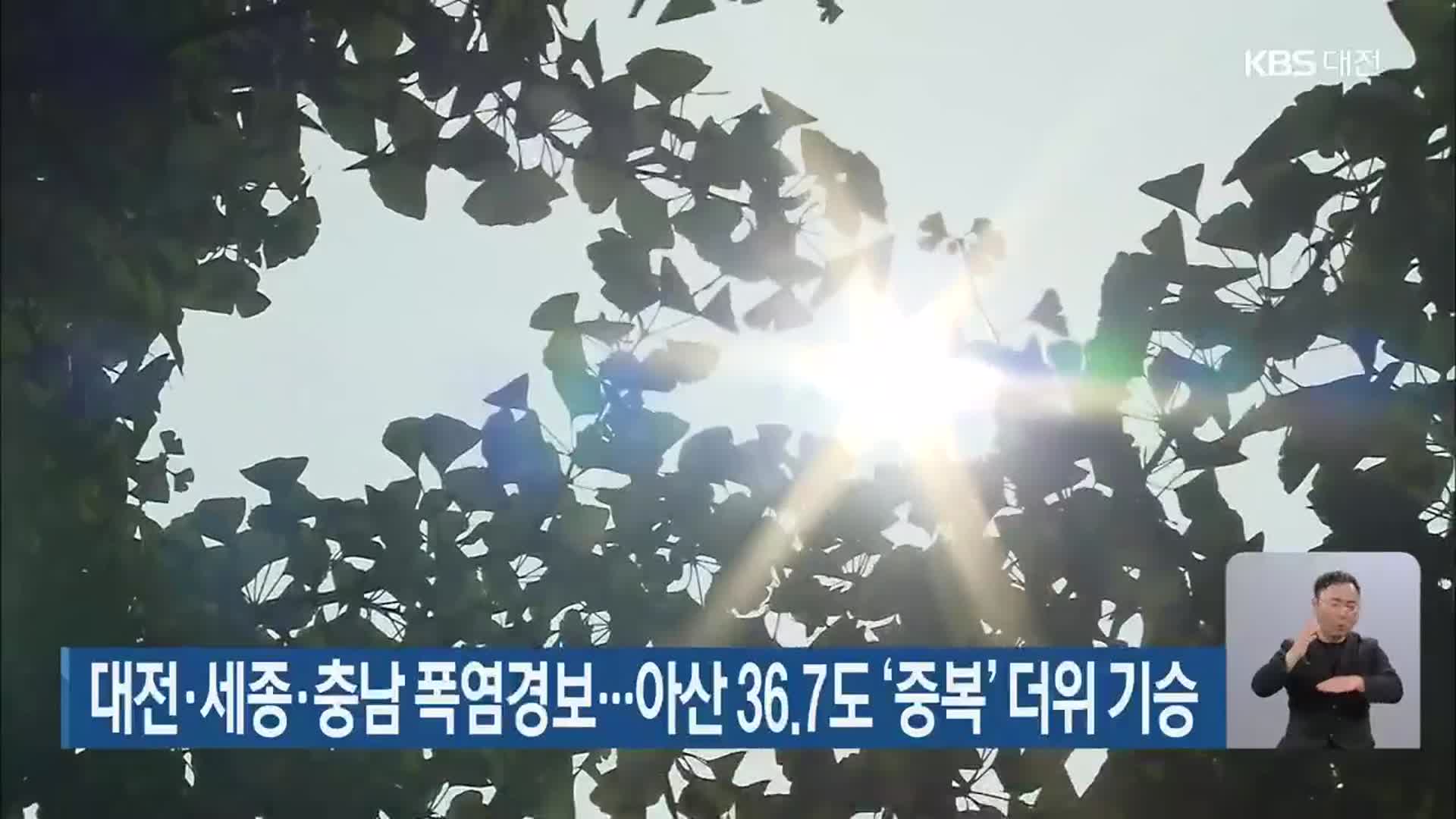 대전·세종·충남 폭염경보…아산 36.7도 ‘중복’ 더위 기승