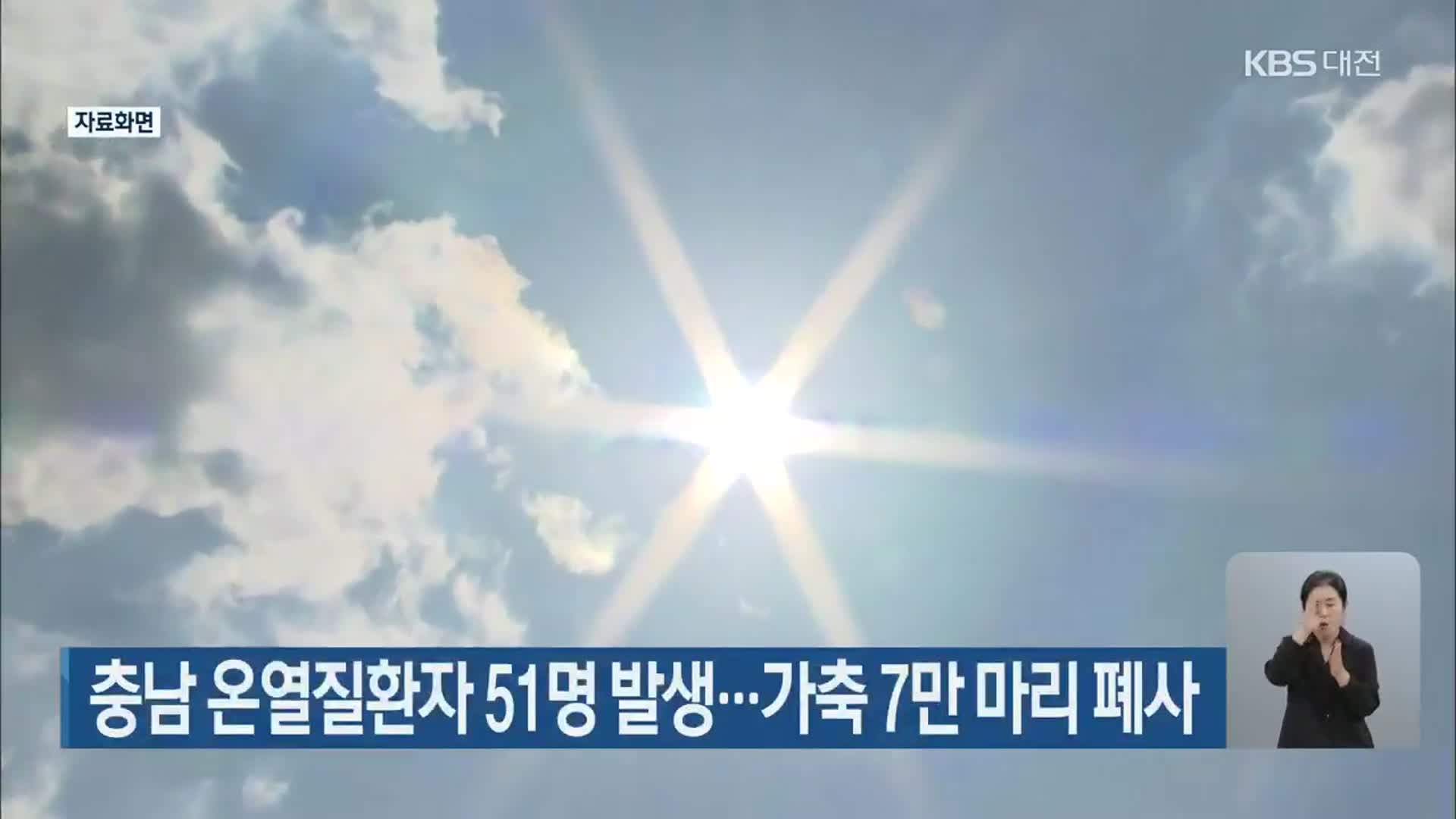 충남 온열질환자 51명 발생…가축 7만 마리 폐사