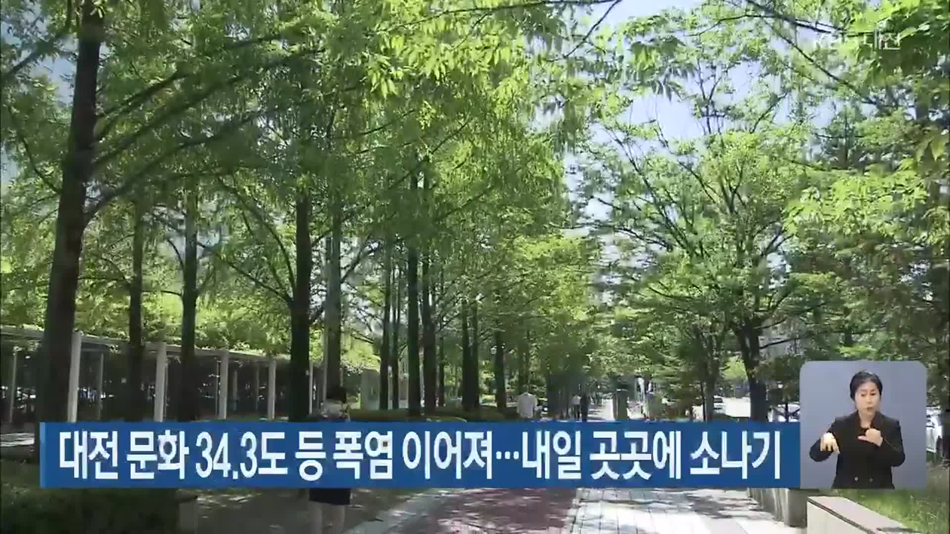 대전 문화 34.3도 등 폭염 이어져…내일 곳곳에 소나기