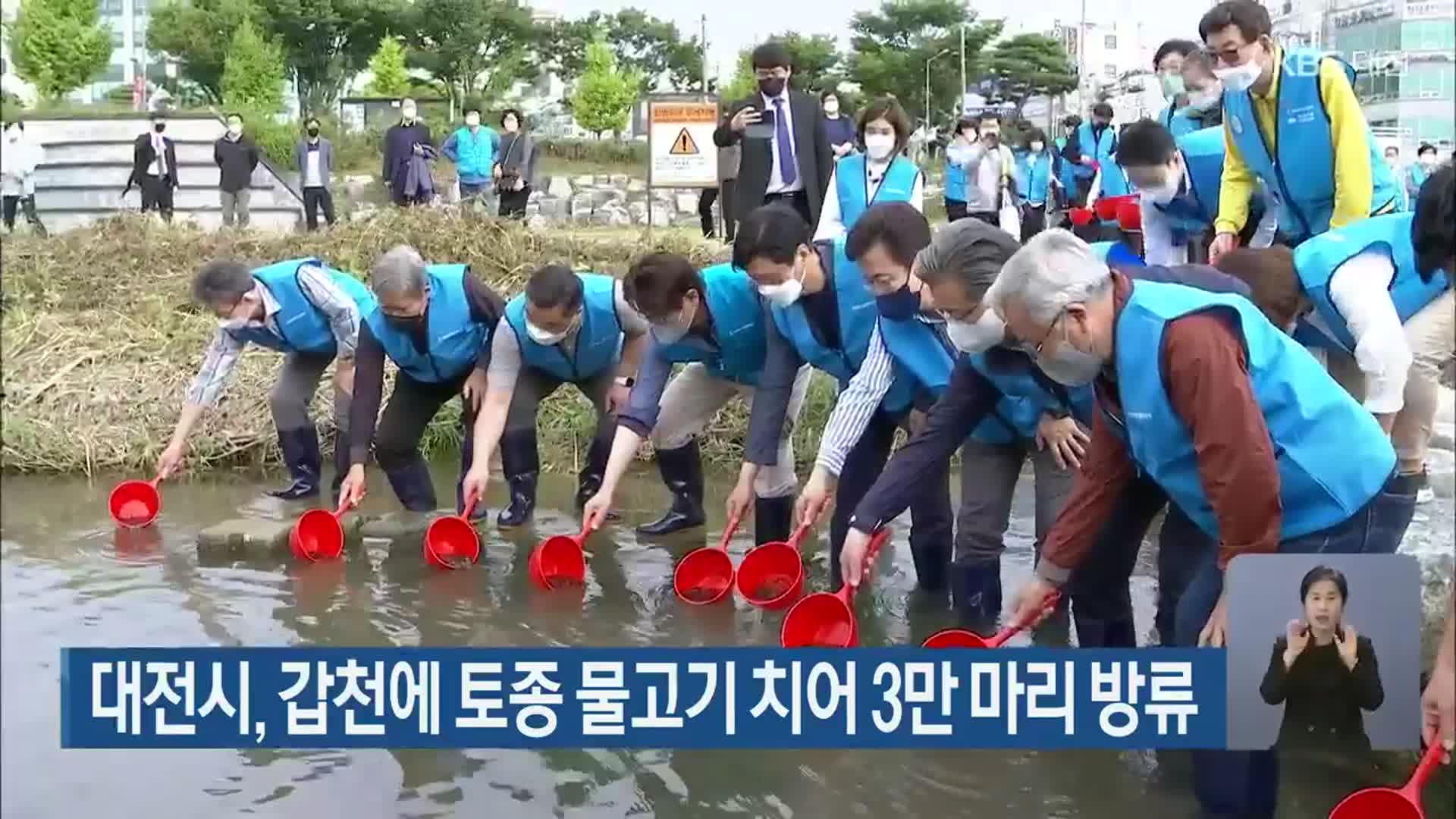 대전시, 갑천에 토종 물고기 치어 3만 마리 방류
